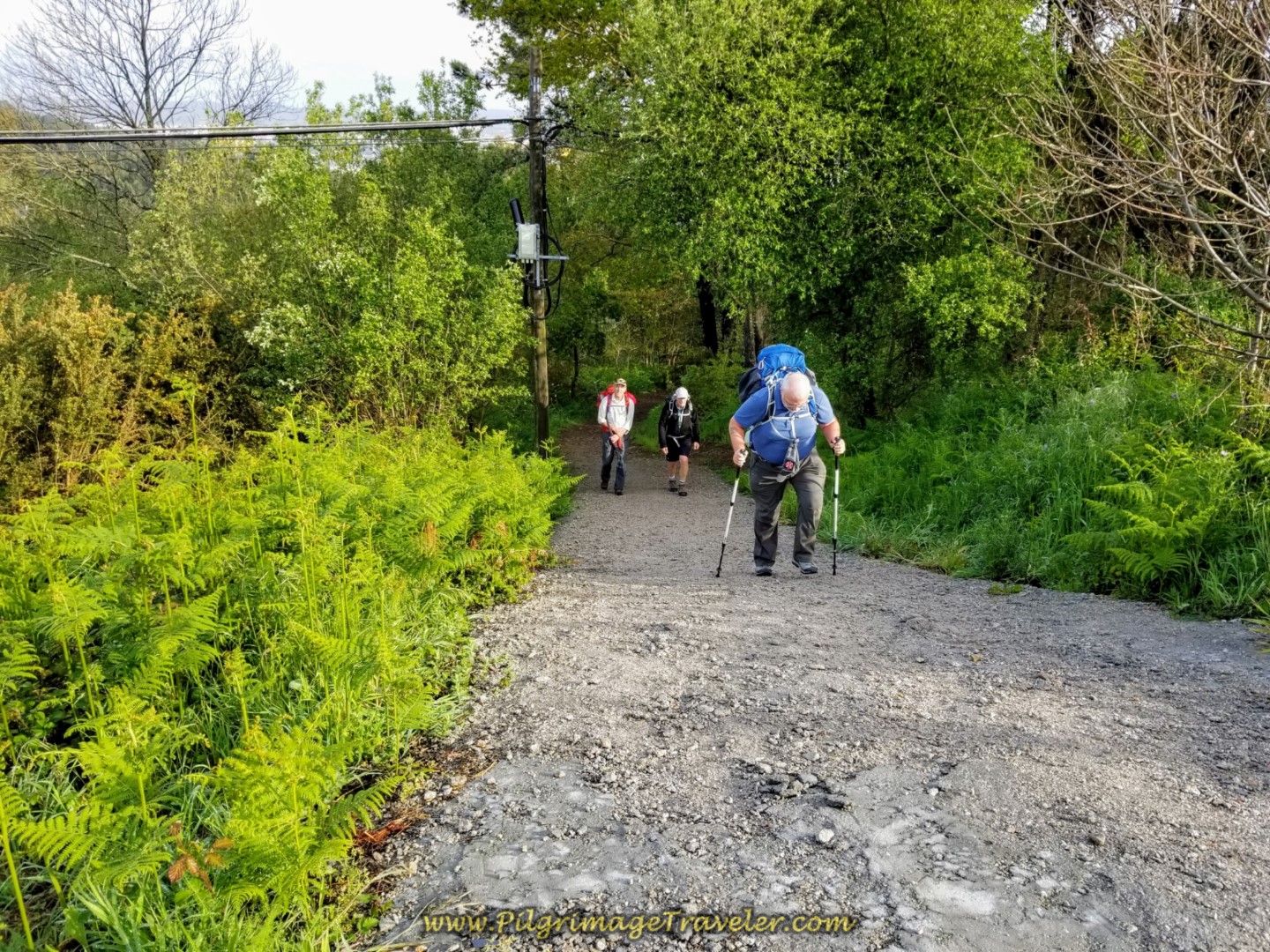 The Final Ultra-Steep Section on day two of the Camino Inglés The Final Ultra-Steep Section on day two of the Camino Inglés