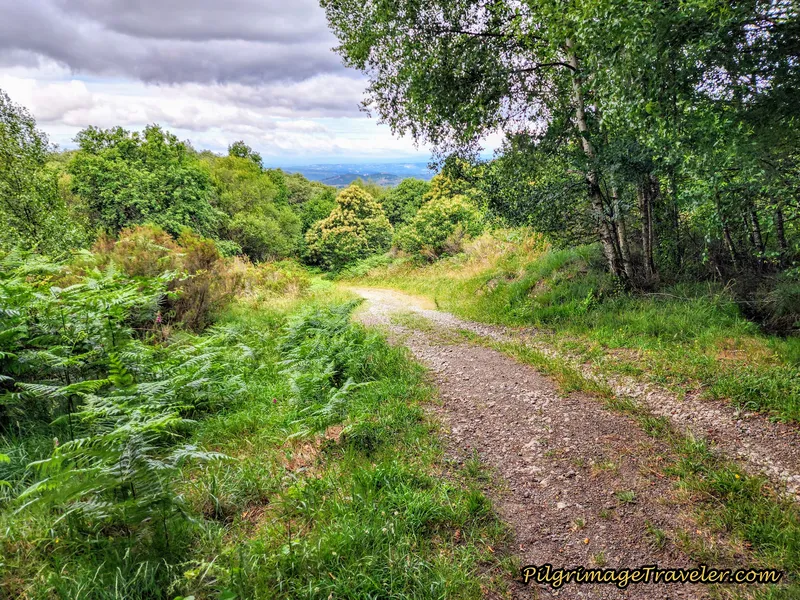 The Lane Descends