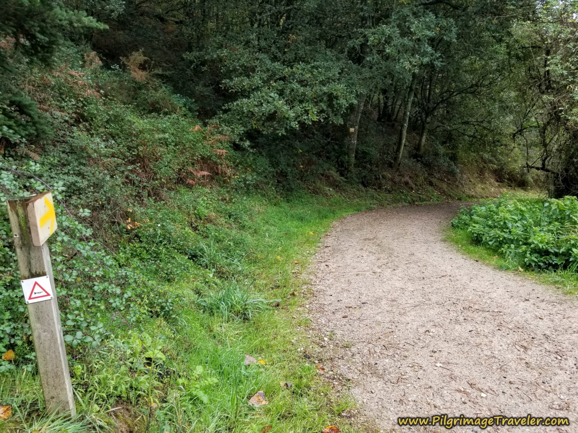 Left Turn at Old Bridge Left Turn at Old Bridge