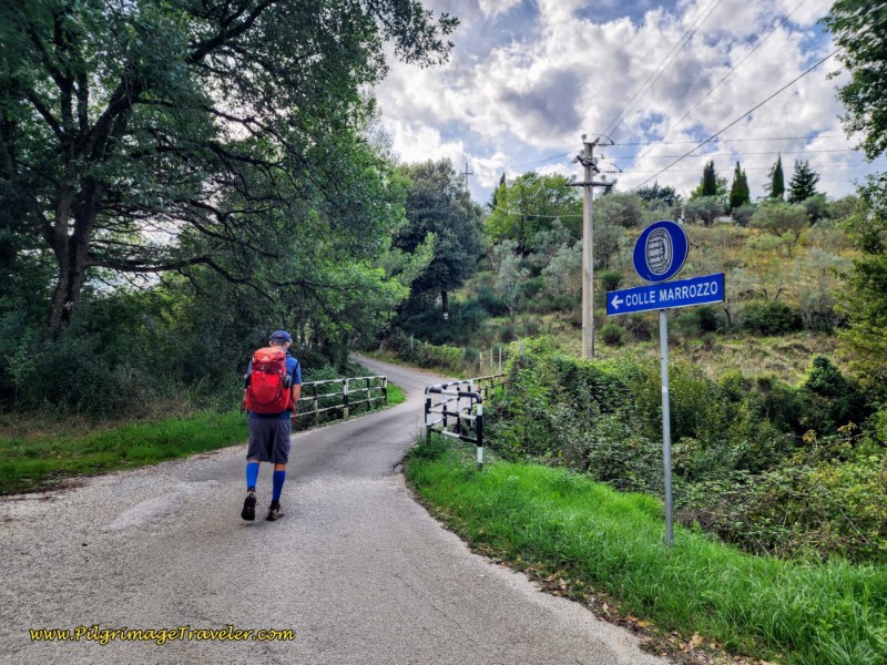 Long, Paved Road Through Località Colle Marozzo