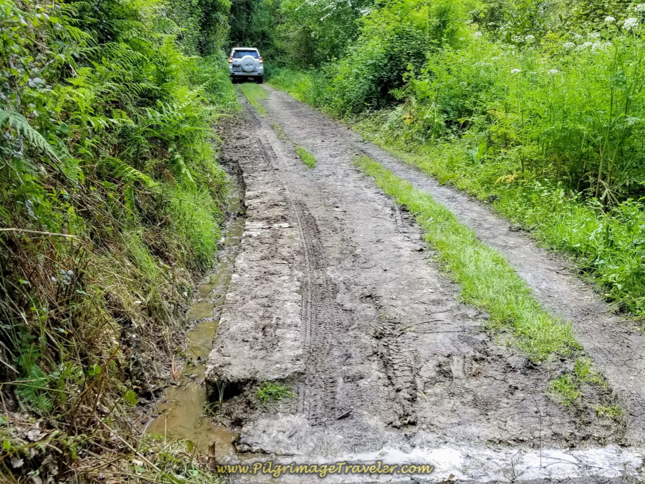 Muddy Path After Bridge on day three of the English Way