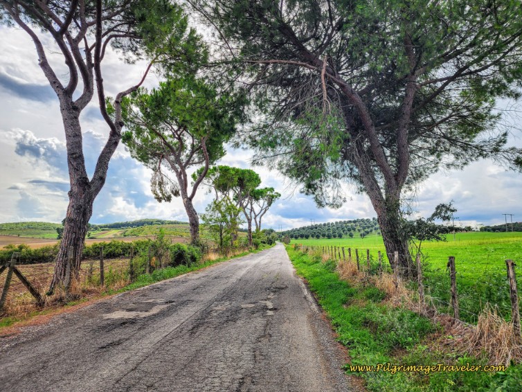 Way of St. Francis: Day Twenty-One, Ponticelli to Monterotondo - Open Plain Walking