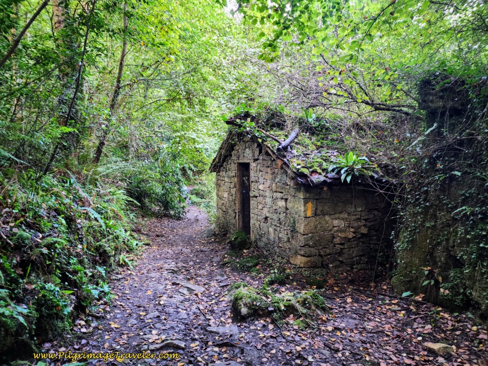 Path Into the Woods and Abandoned Grist Mill
