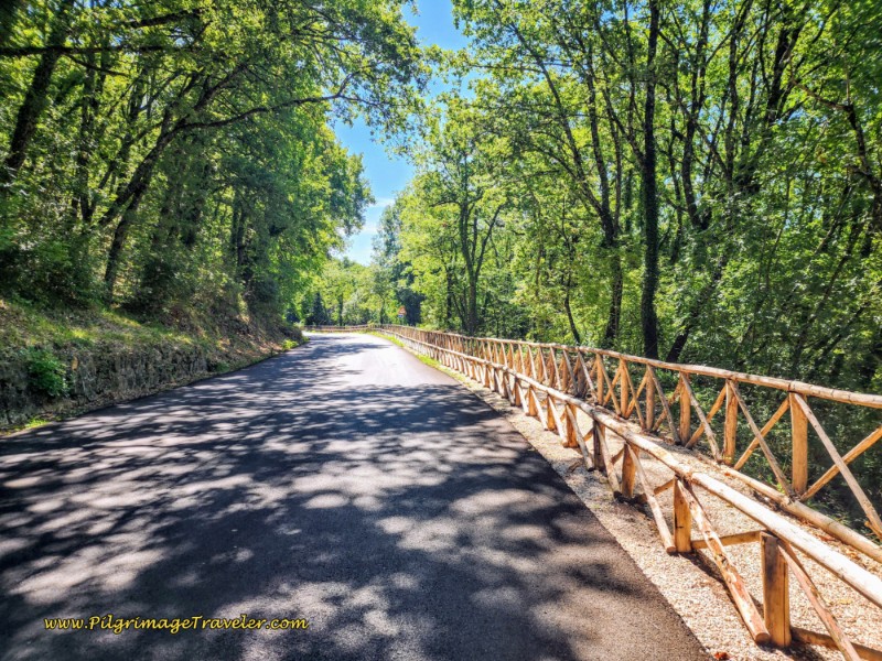 Way of St. Francis: Day Eighteen, Poggio Bustone to Rieti - Pedestrian Way Along the Via Foresta