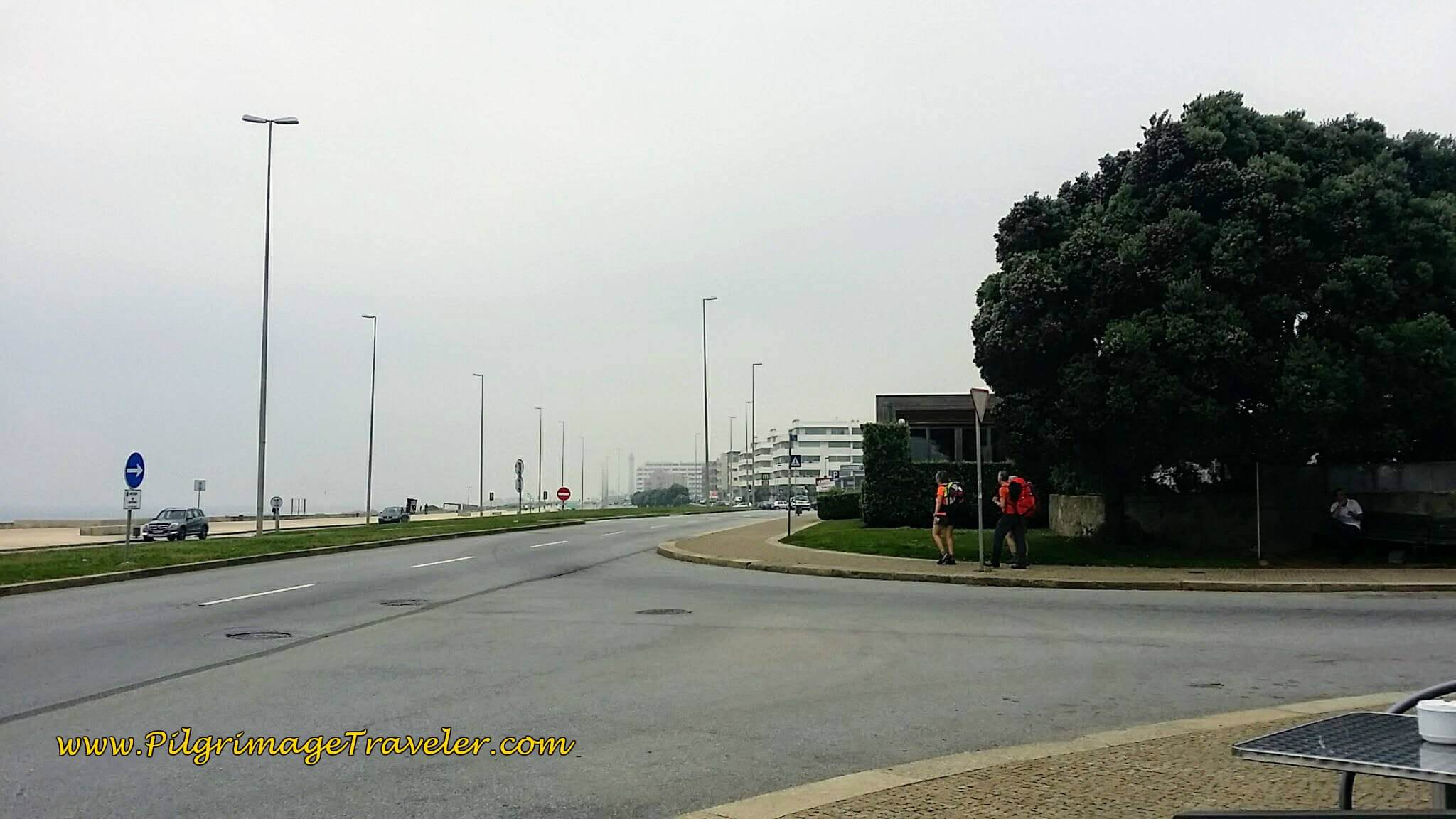 Turn Right on the Avenida Liberdade on day fifteen of the Portuguese Way on the Senda Litoral