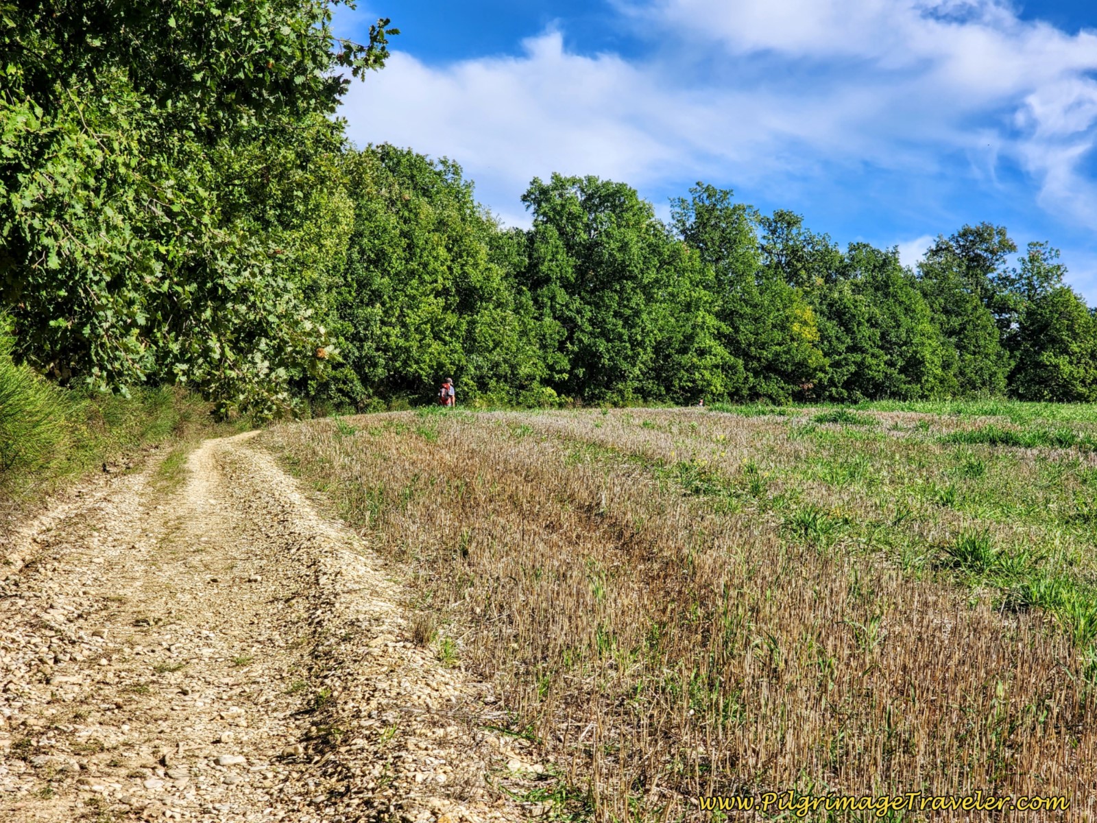 Skirt Open Field on day four of the Way of St. Francis from Sansepolcro to Citerna