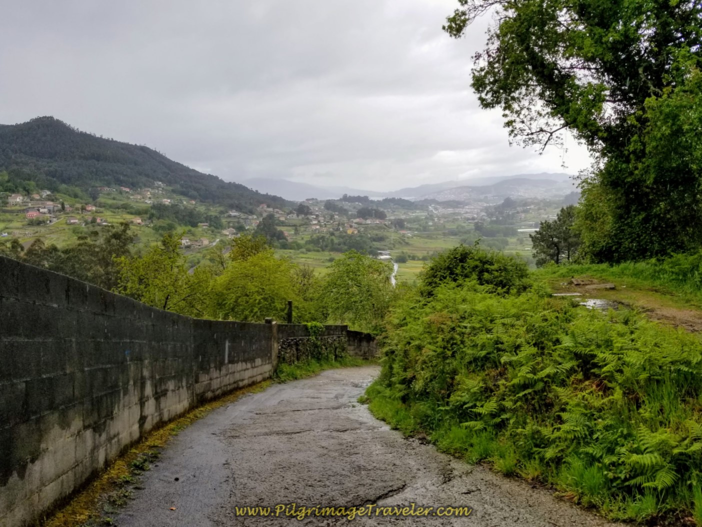 The ever-steeper descent into Padrón on day twenty-one of the central route of the Portuguese Camino