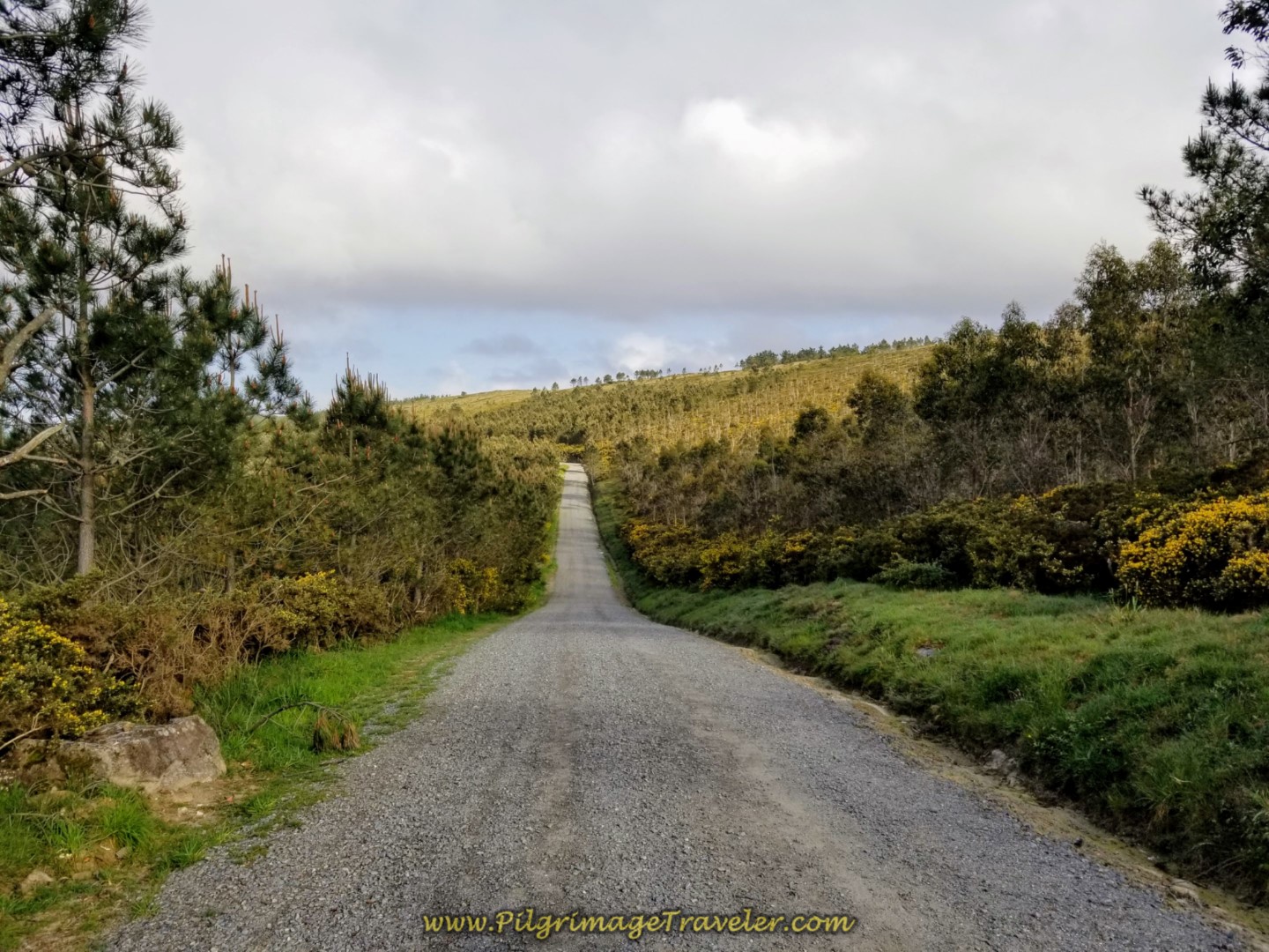Up and Down on Long Gravel Road Through the Countryside