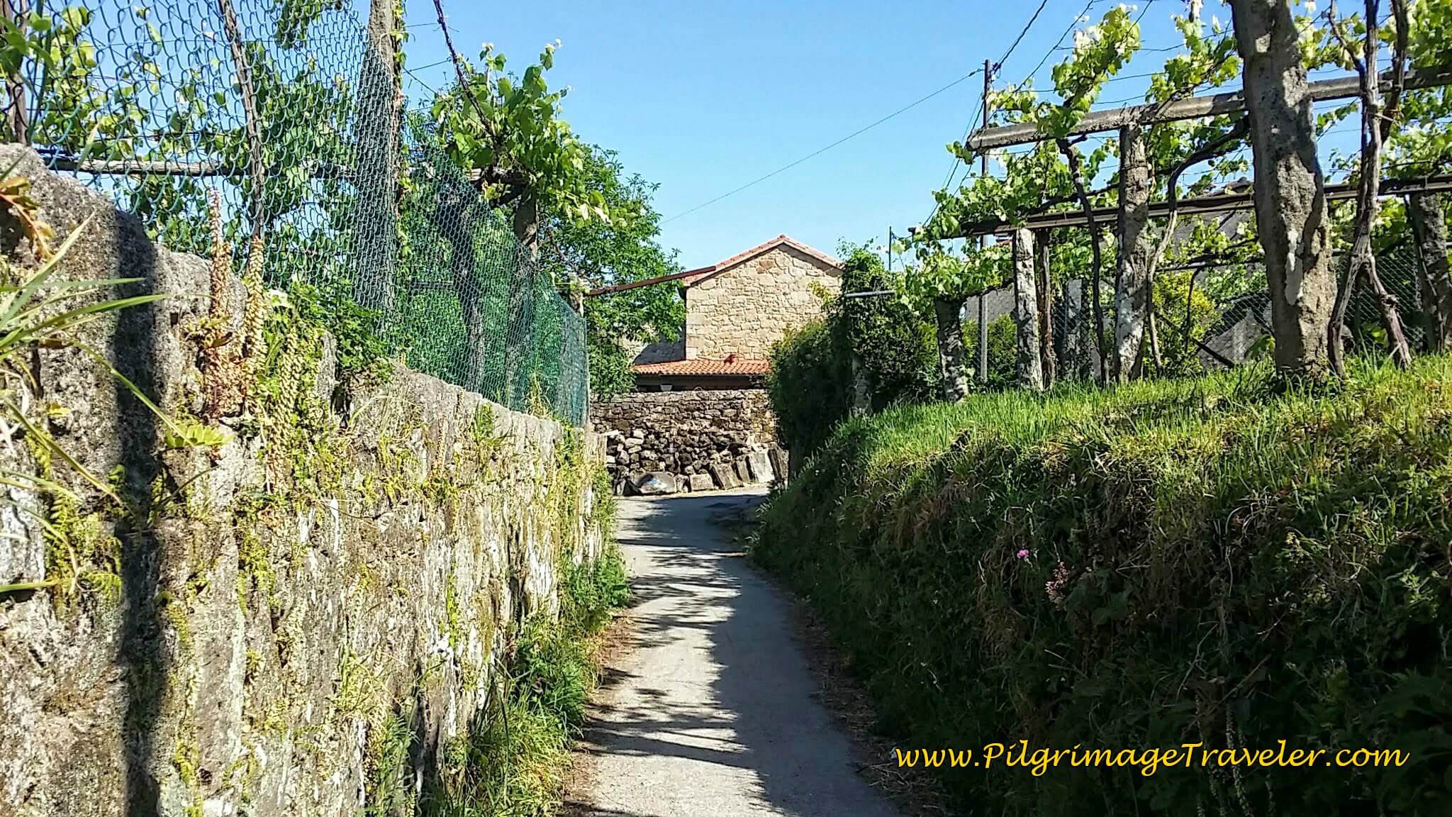 Walking Into O Vilar on Day Twenty-Four, Portuguese Camino