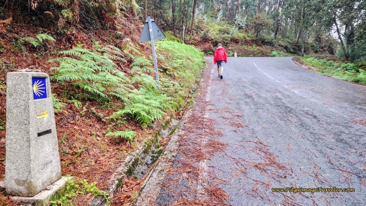 The Camino Briefly Joins the EP-0001