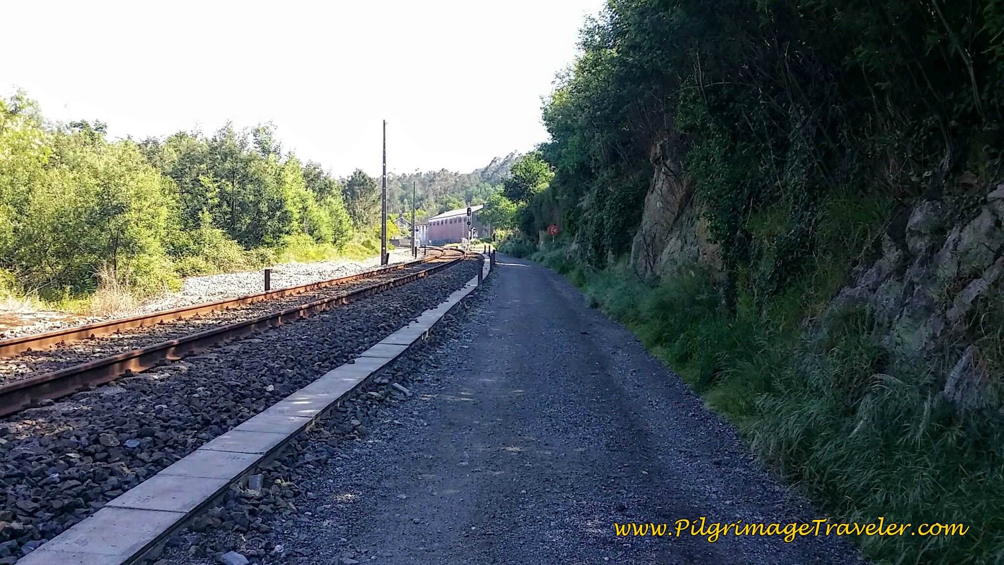 Follow the Railroad Tracks on Day Twenty-Four, Portuguese Camino