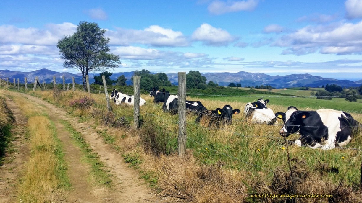 Pastoral Scene at the Alto de Guardia