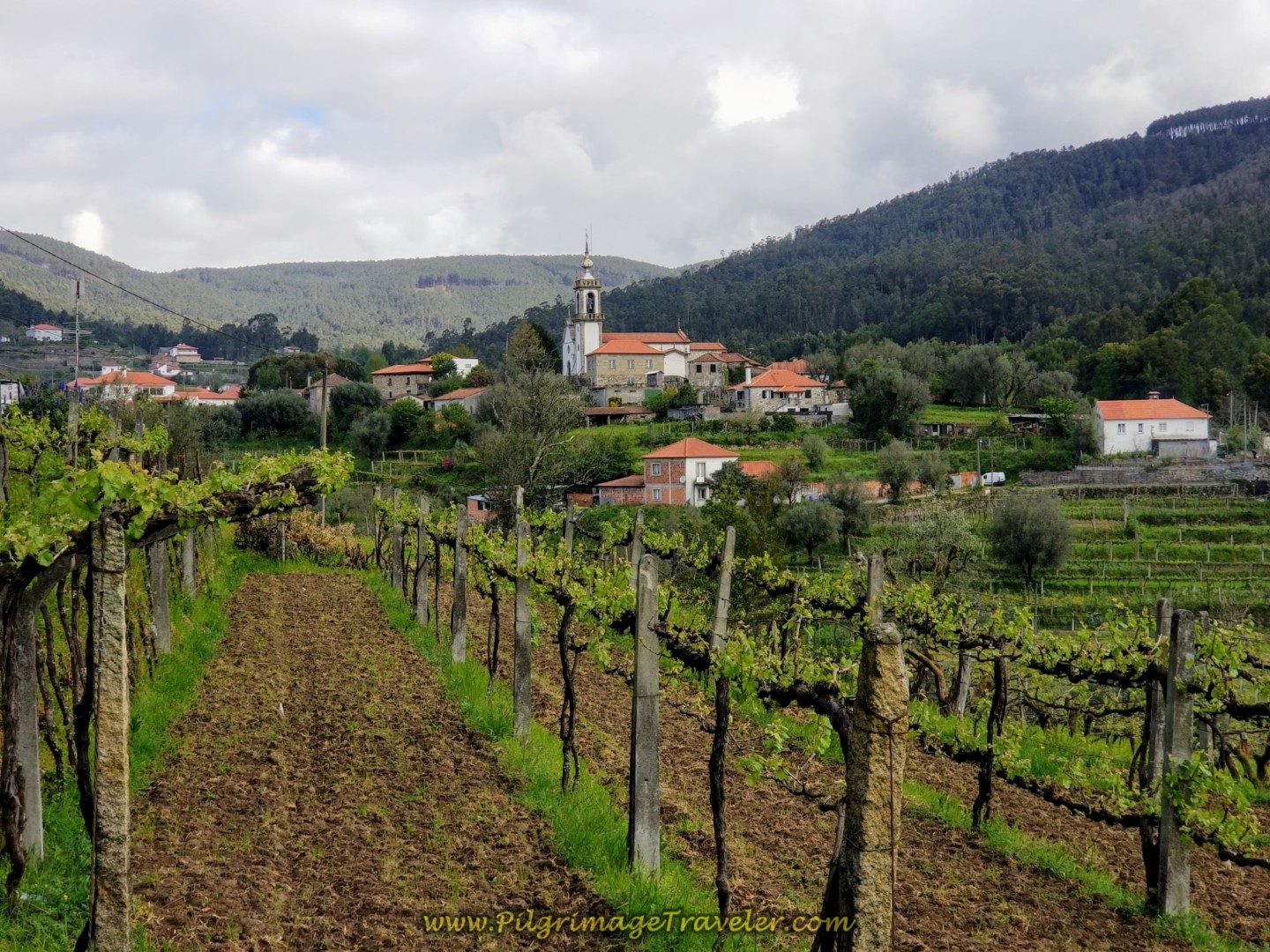 Walking into Labruja on day eighteen on the Central Route of the Portuguese Camino
