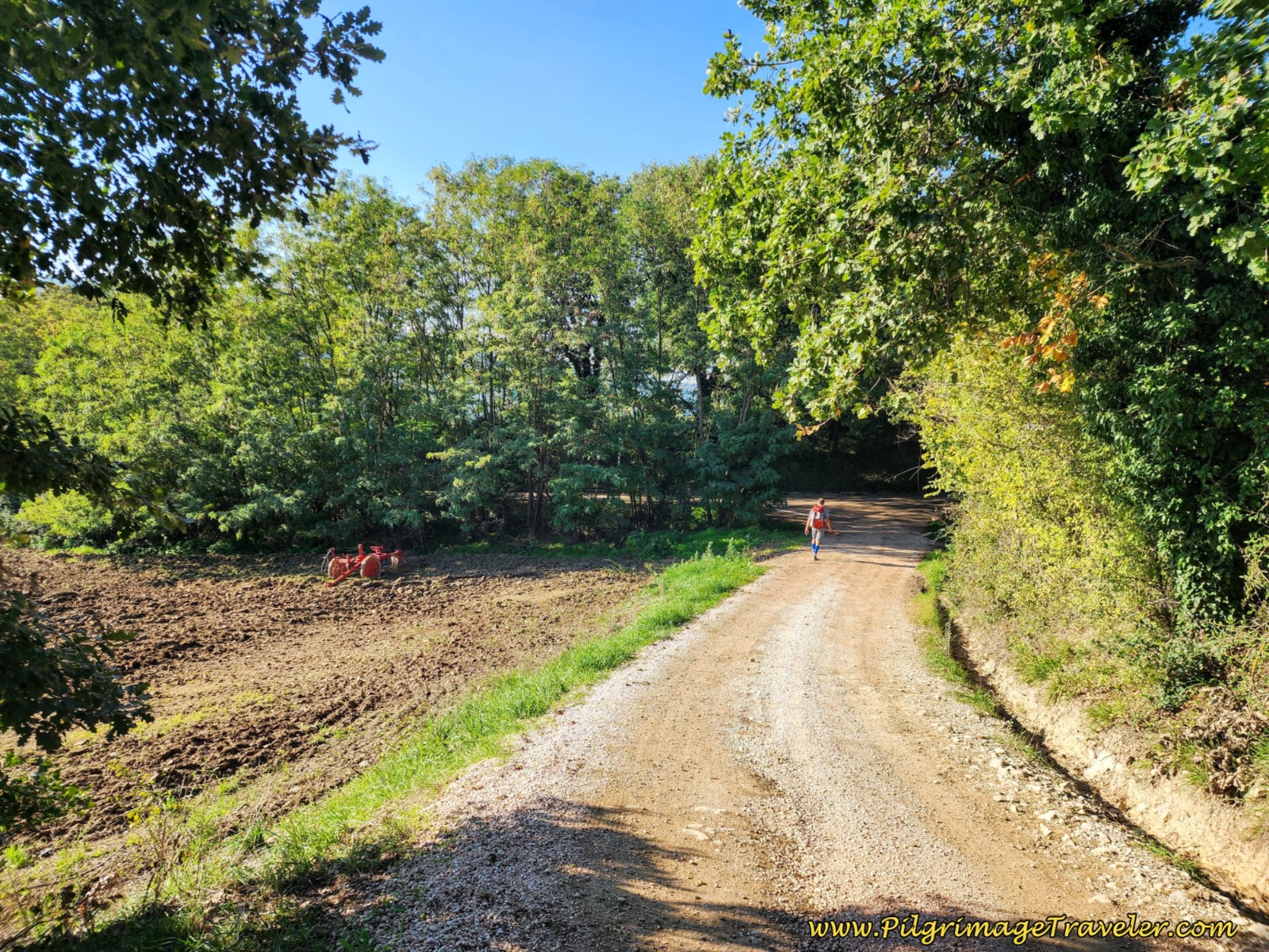 Left Turn Onto Pavement Ahead at T-Intersection