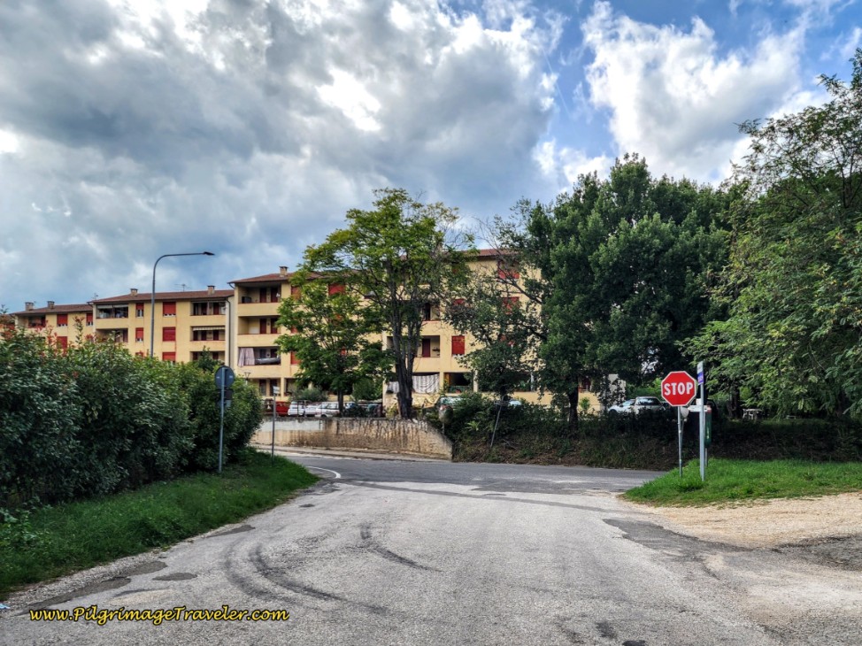 The Long, Paved Road through the Località Colle Marozzo Ends