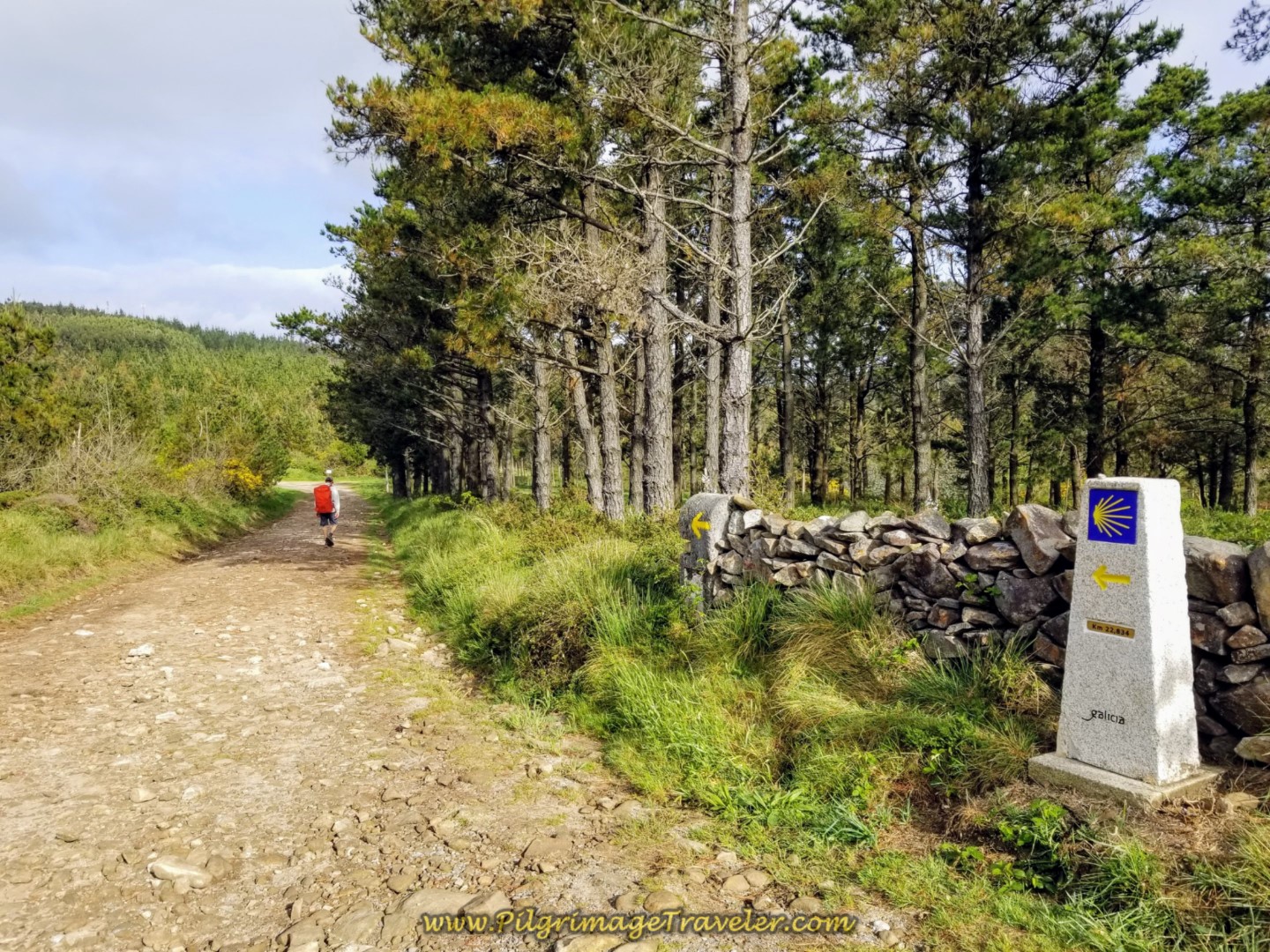 Rich Passes the 22.8 Kilometer Marker