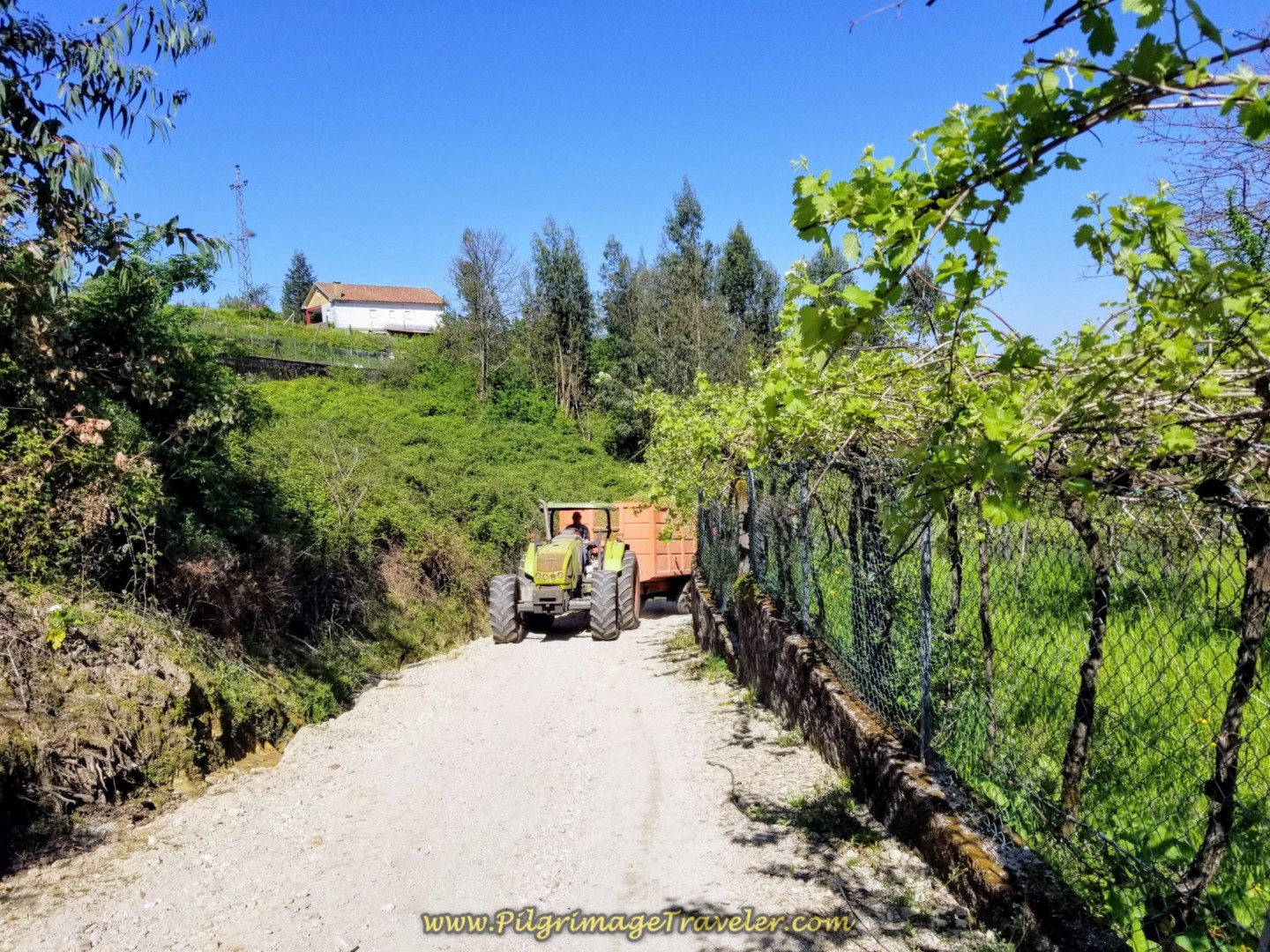 Tractor Greets Us on the Rua de São Tiago on day seventeen on the Central Route of the Camino Portugués