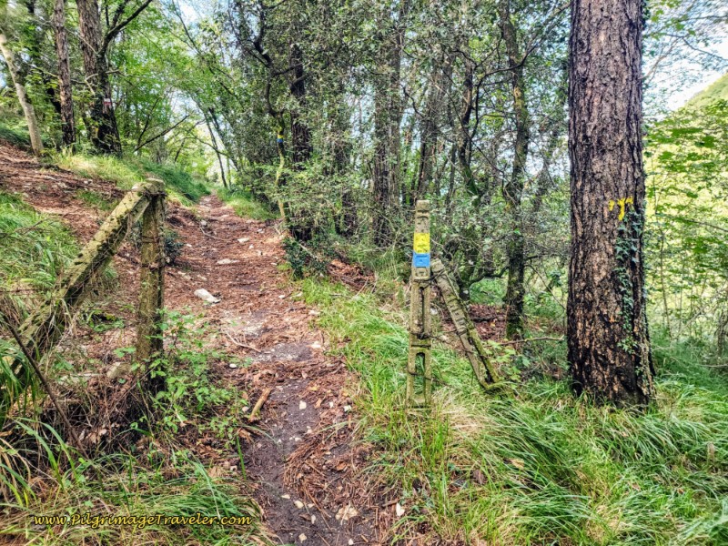 Way of St. Francis: Day Eleven, Assisi to Spello, Keep Straight, Through Fenceline