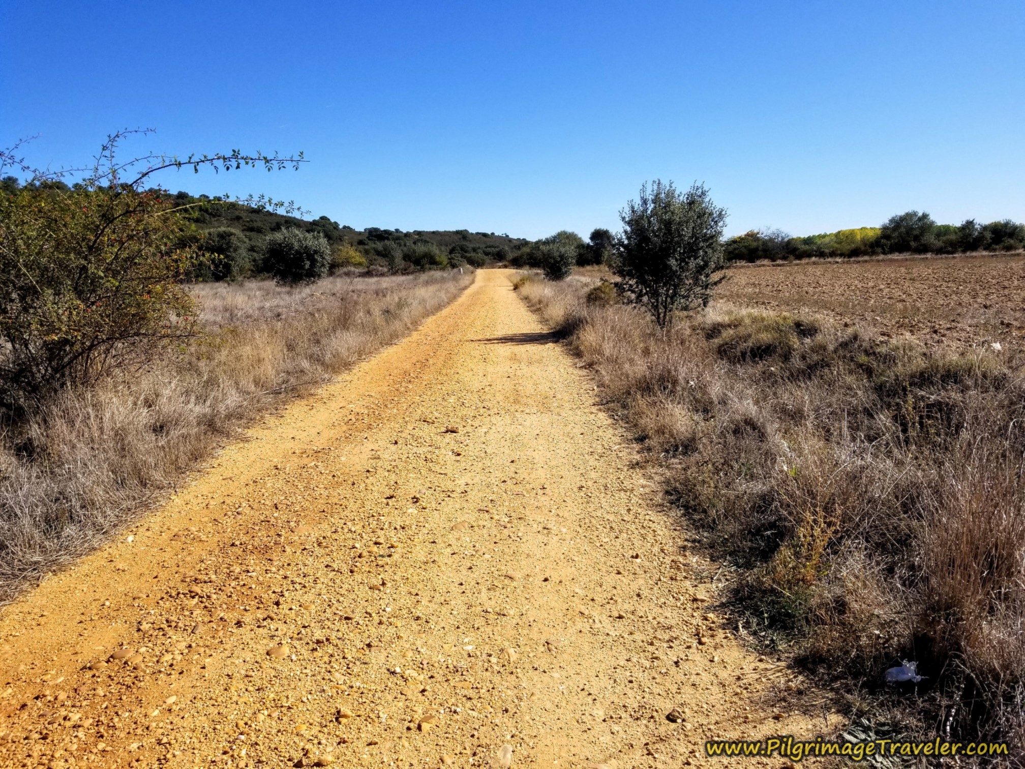 Dirt Lanes Begin Again Dirt Lanes Begin Again