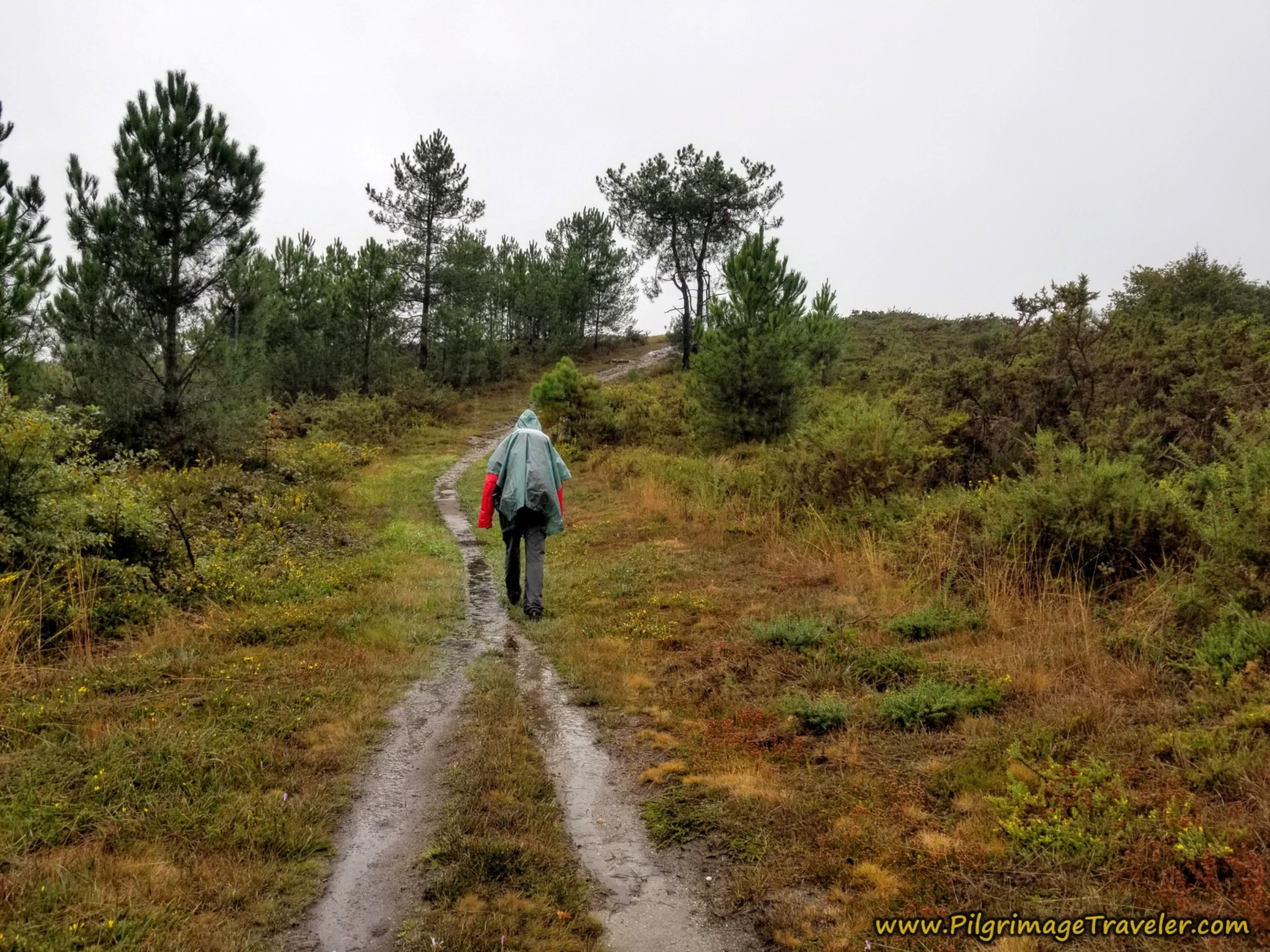Final Approach to the Top, Camino Sanabrés, Vilar de Barrio to Xunqueira de Ambía