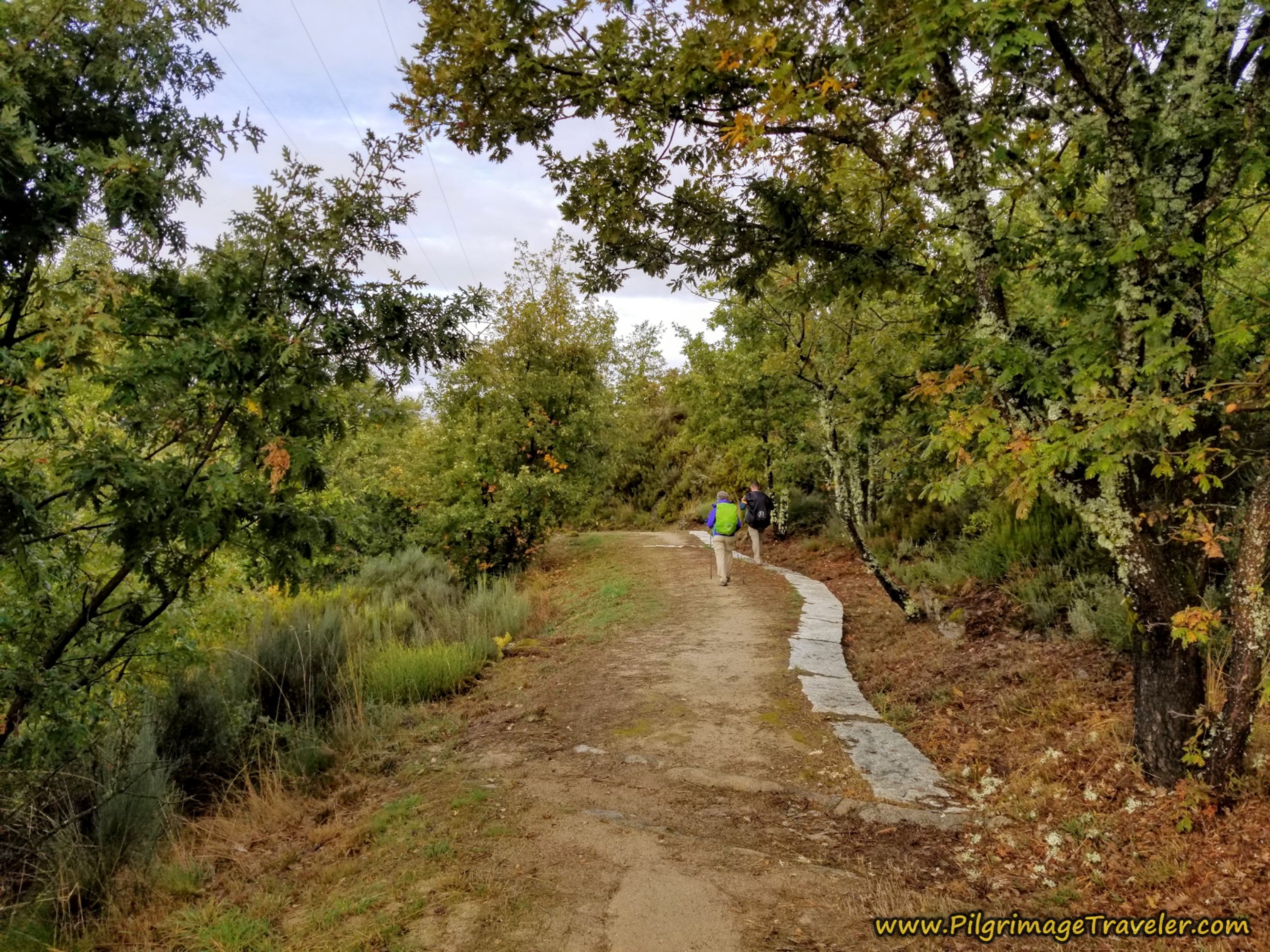 Improved Path on the Camino Sanabrés from Lubián to A Gudiña