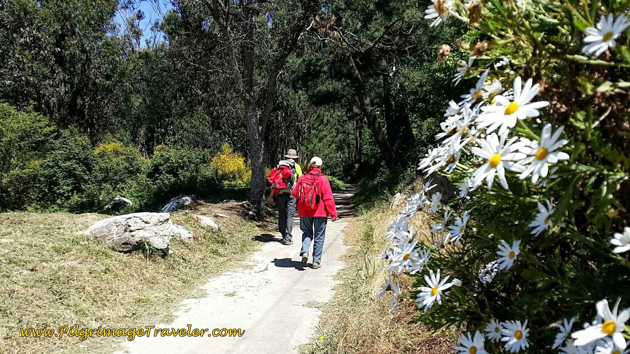 Leave the Highway for this Path on Day Nineteen of the Camino Portugués