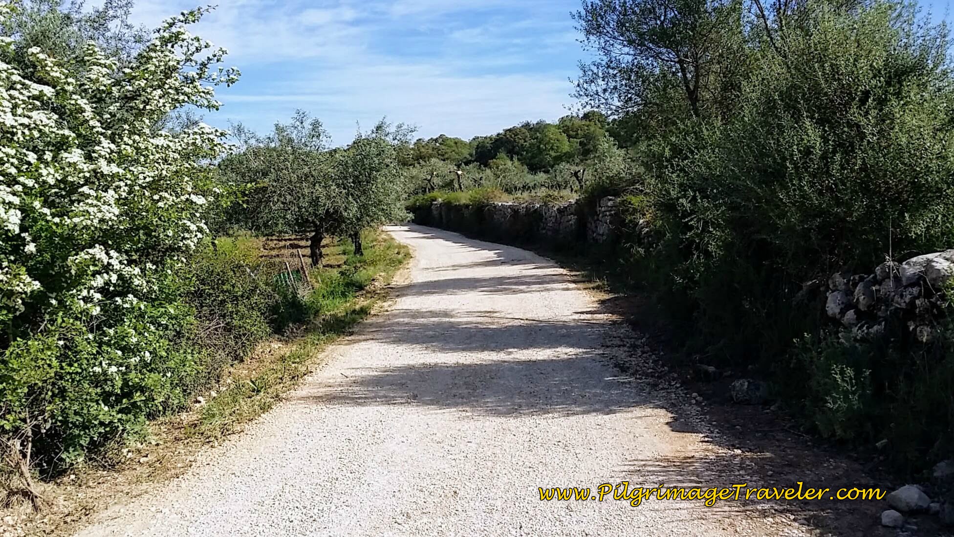 Long Country Road Toward Zambujal
