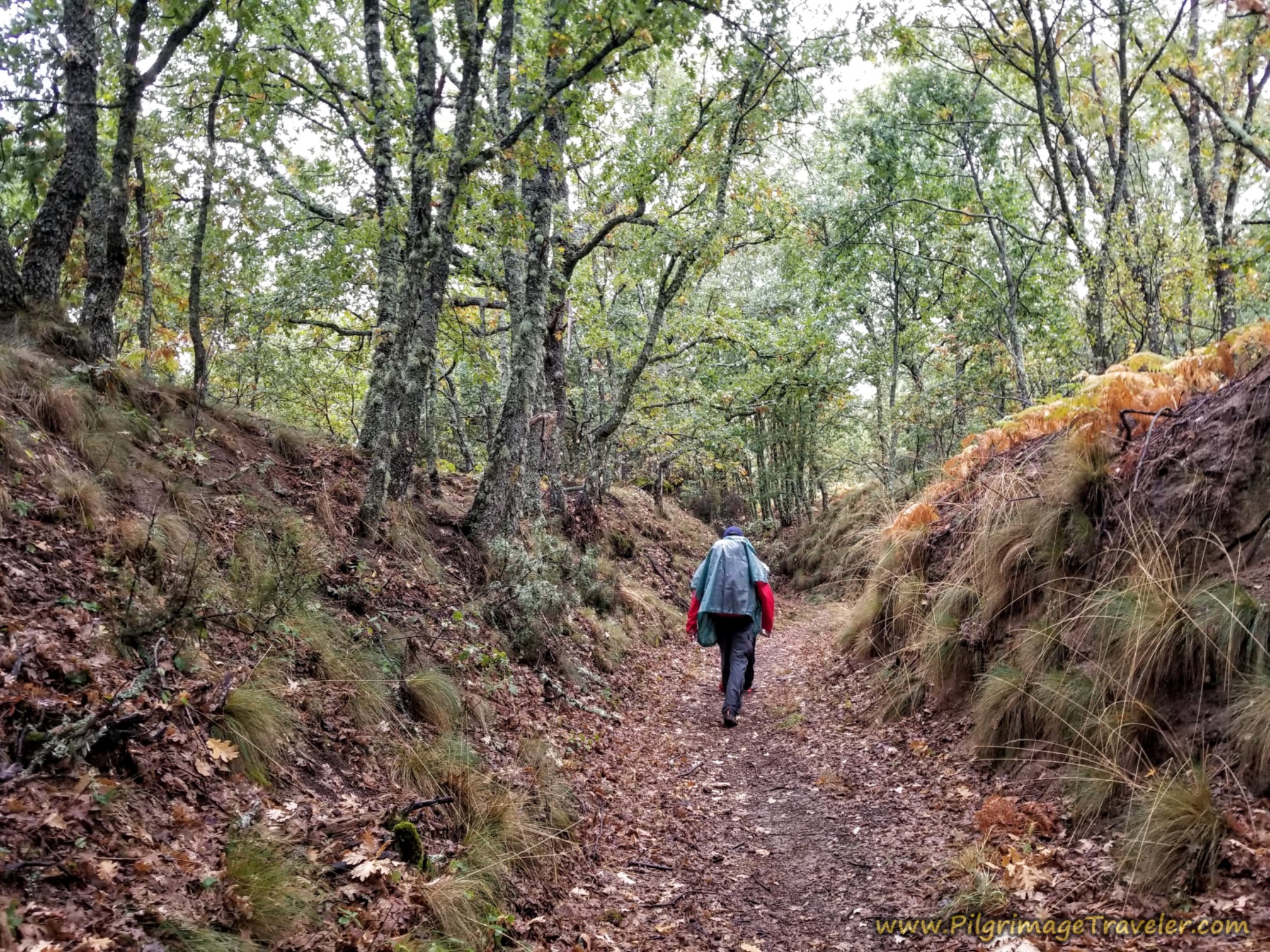 Miguel and Rich Lead Through Deep Road Cut
