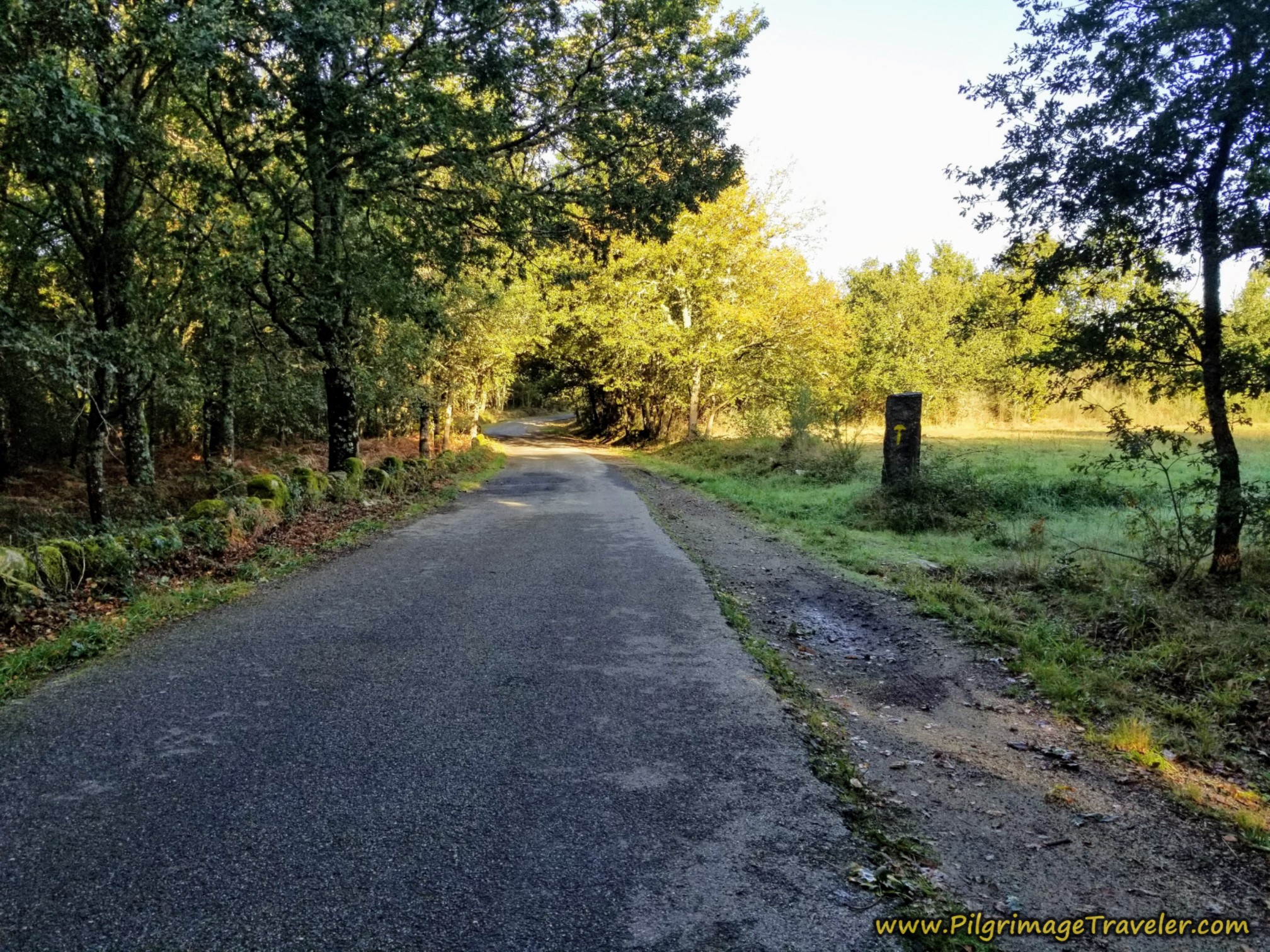 Paved Road Through Countryside, Camino Sanabrés, Ourense to Cea