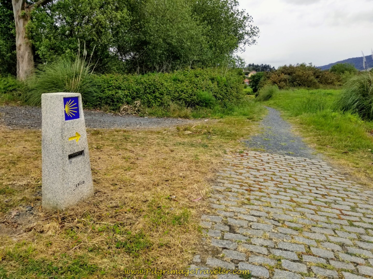 Right Turn Onto Path at 104 Kilometer Marker on day one of the Camino Inglés Right Turn Onto Path at 104 Kilometer Marker on day one of the Camino Inglés