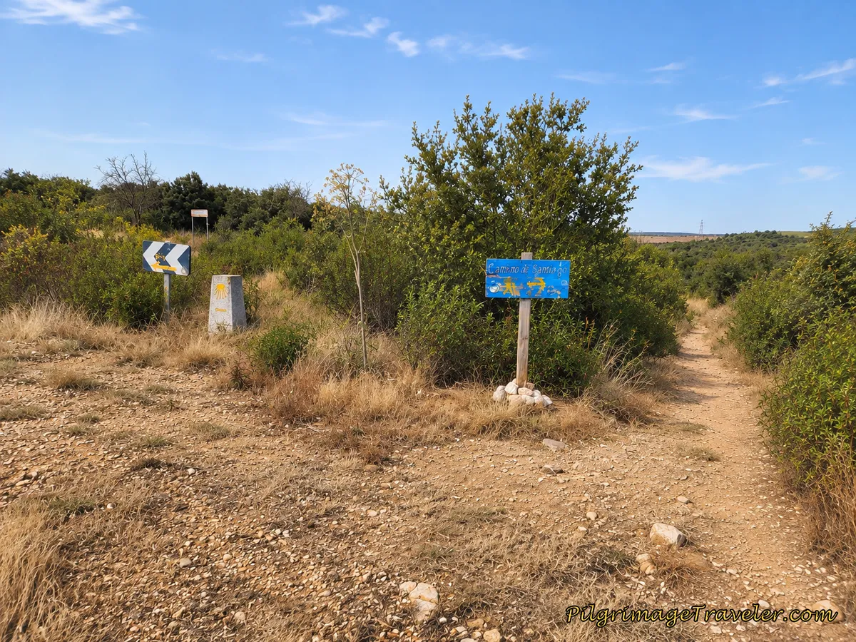 Trails Diverge: Pedestrian vs Bicycle Route