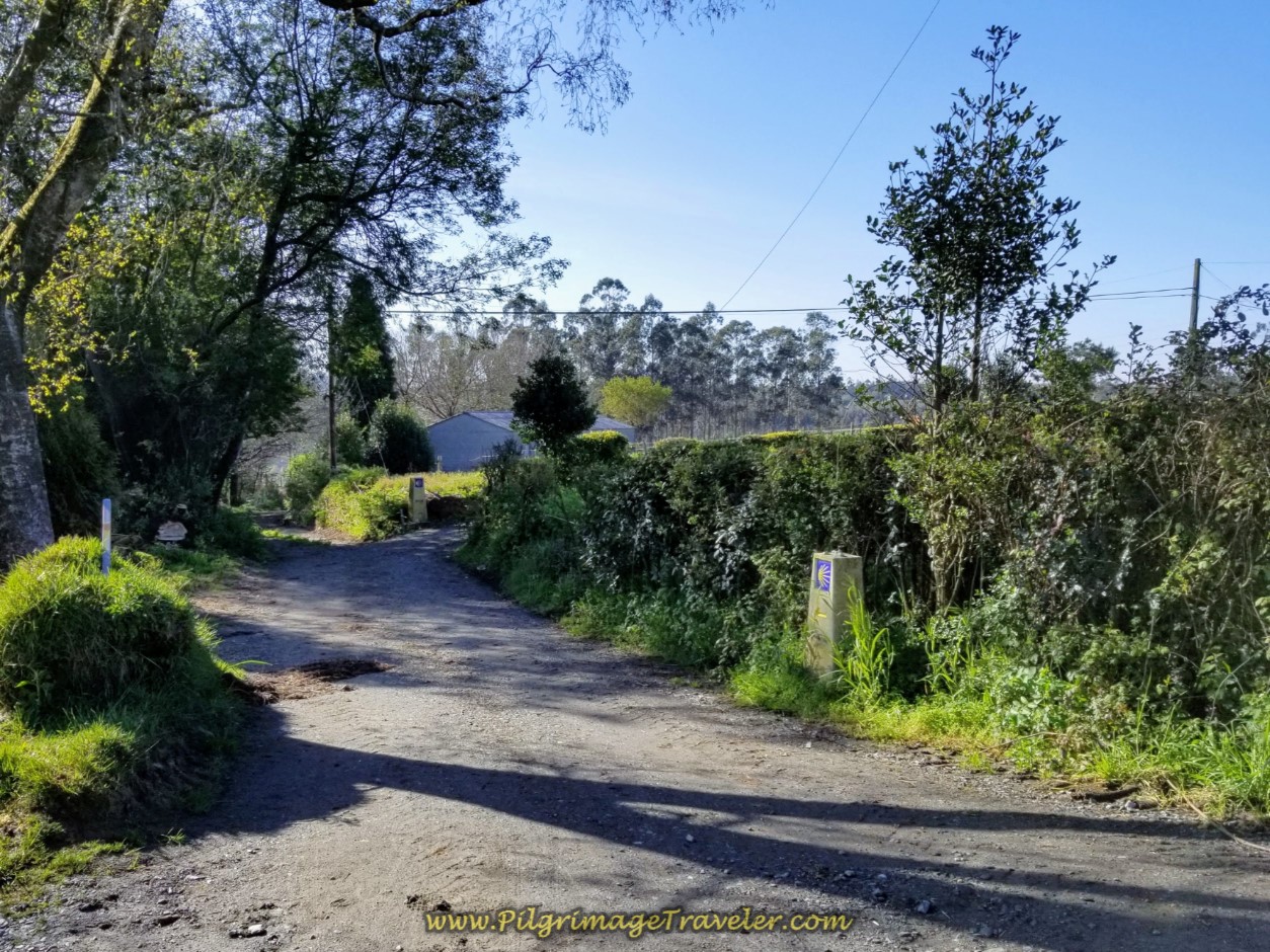 Cross Highway to Path on day two of the La Coruña Arm of the Camino Inglés