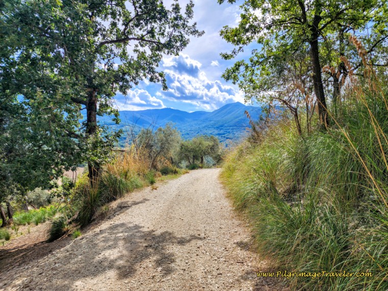 Way of St. Francis: Day Twenty, Poggio San Lorenzo to Ponticelli - Views of Mountains