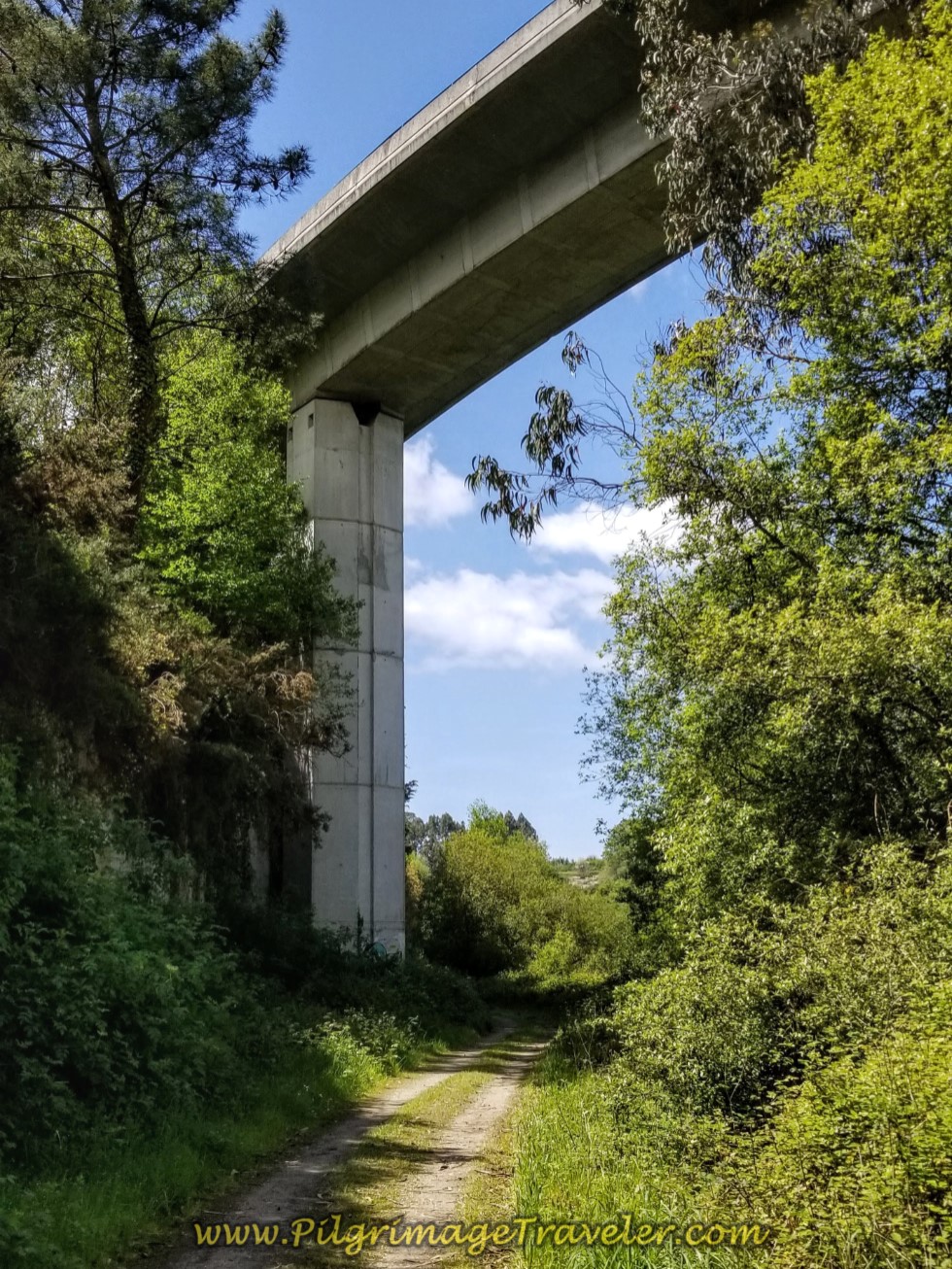 Path Walks Under the E-1 on day three of the English Way