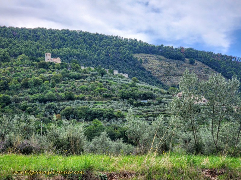 Castello di Poreta Way of St. Francis: Day Thirteen, Trevi to Poreta - Castello di Poreta