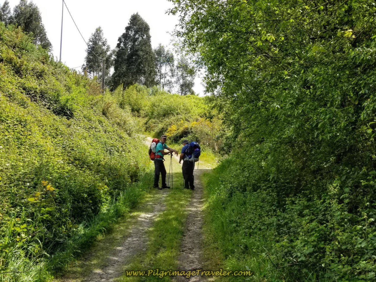 Path Bends Around the Interchange of the E-1 on day three of the English Way