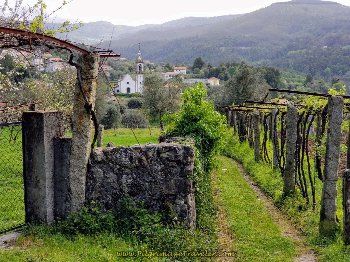 Verdant view of Labruja, Portugal Camino Portugués, Central Route: Verdant view of Labruja, Portugal