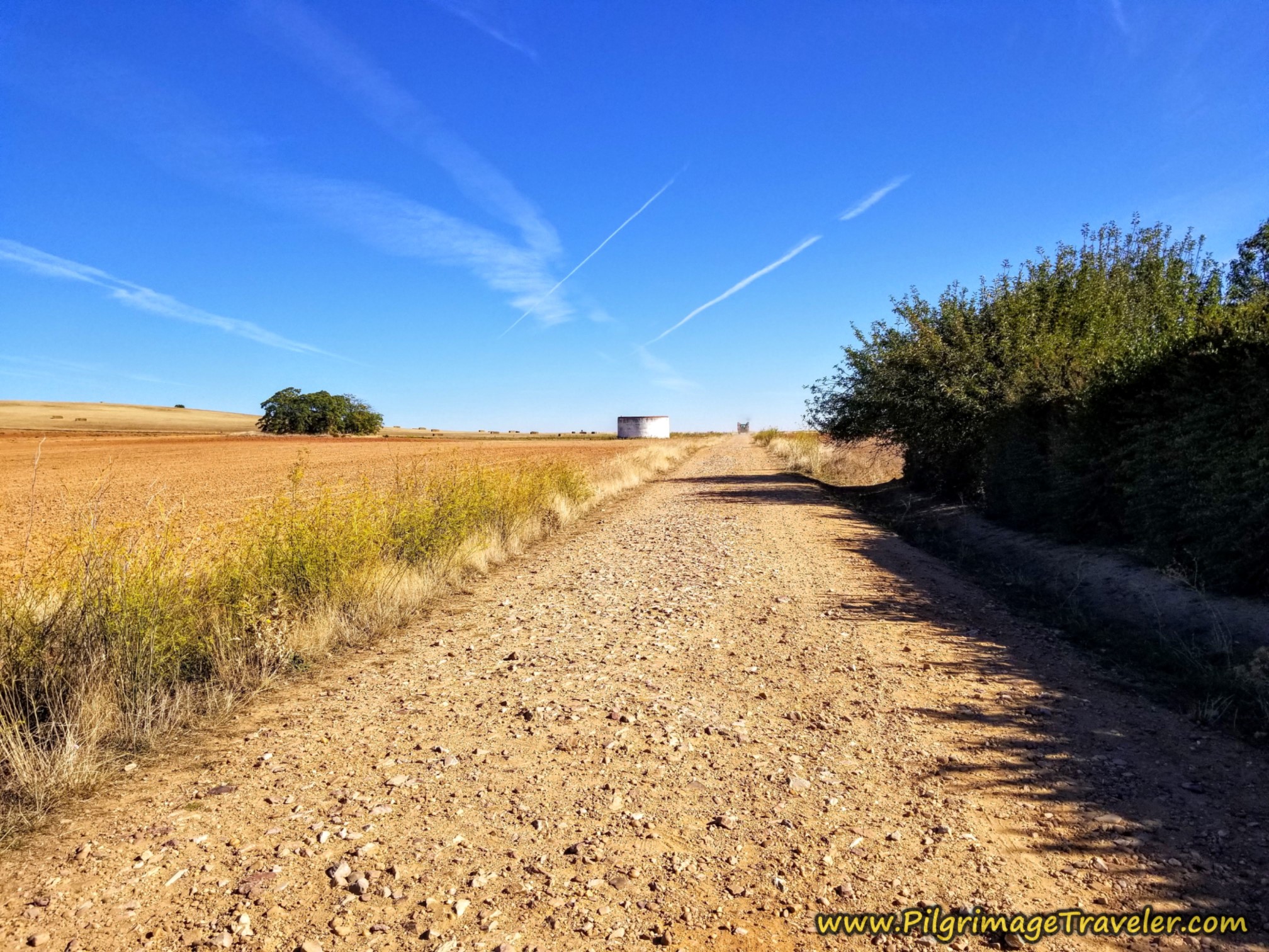 Back on Open Road on the Vía de la Plata from Montamarta to Granja de Moreruela