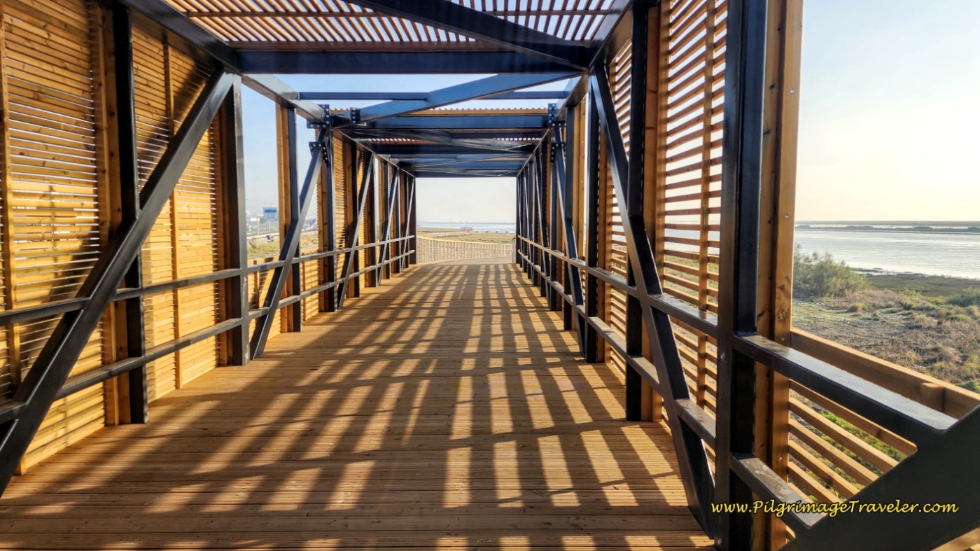 Continuing Boardwalk After the Observatory