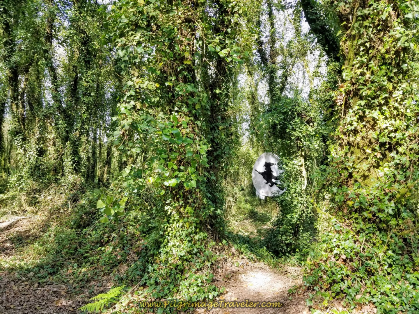 Good Luck Galician Witch in the Enchanted Forest on day eight of the Camino Inglés Good Luck Galician Witch in the Enchanted Forest on day eight of the Camino Inglés