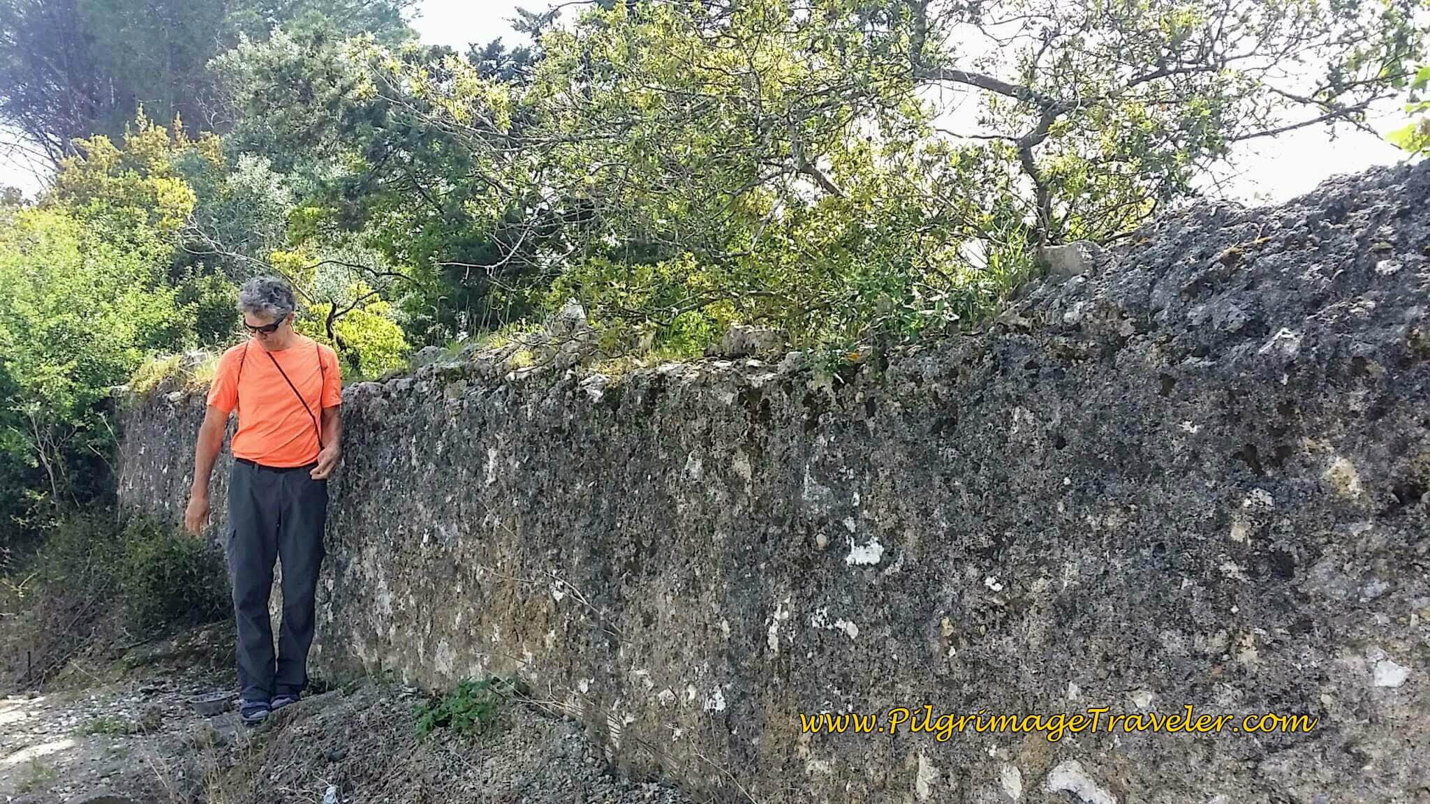 Rich on the Fortress Wall, Tomar
