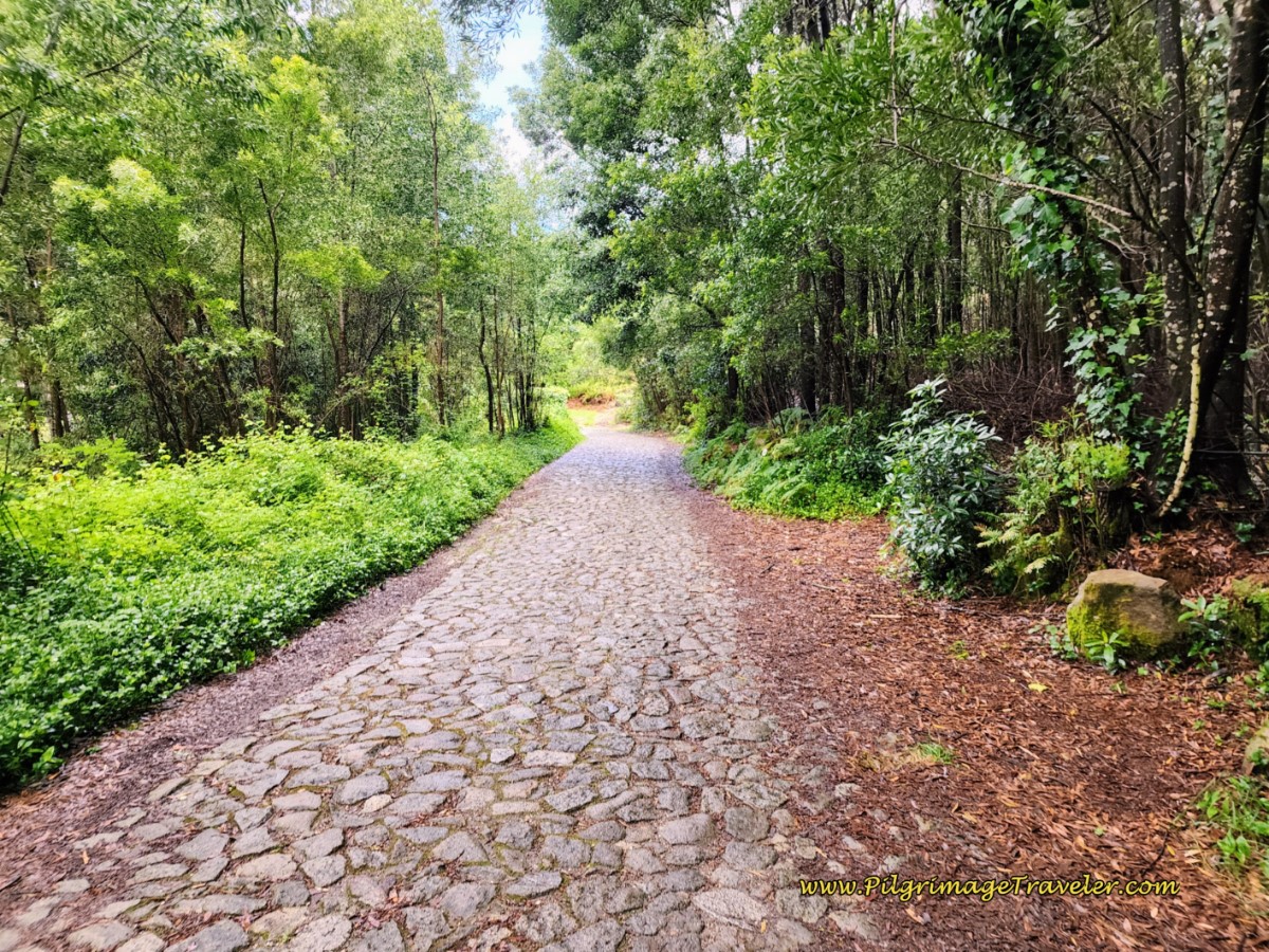 Granite Cobblestone Forest Walk Granite Cobblestone Forest Walk