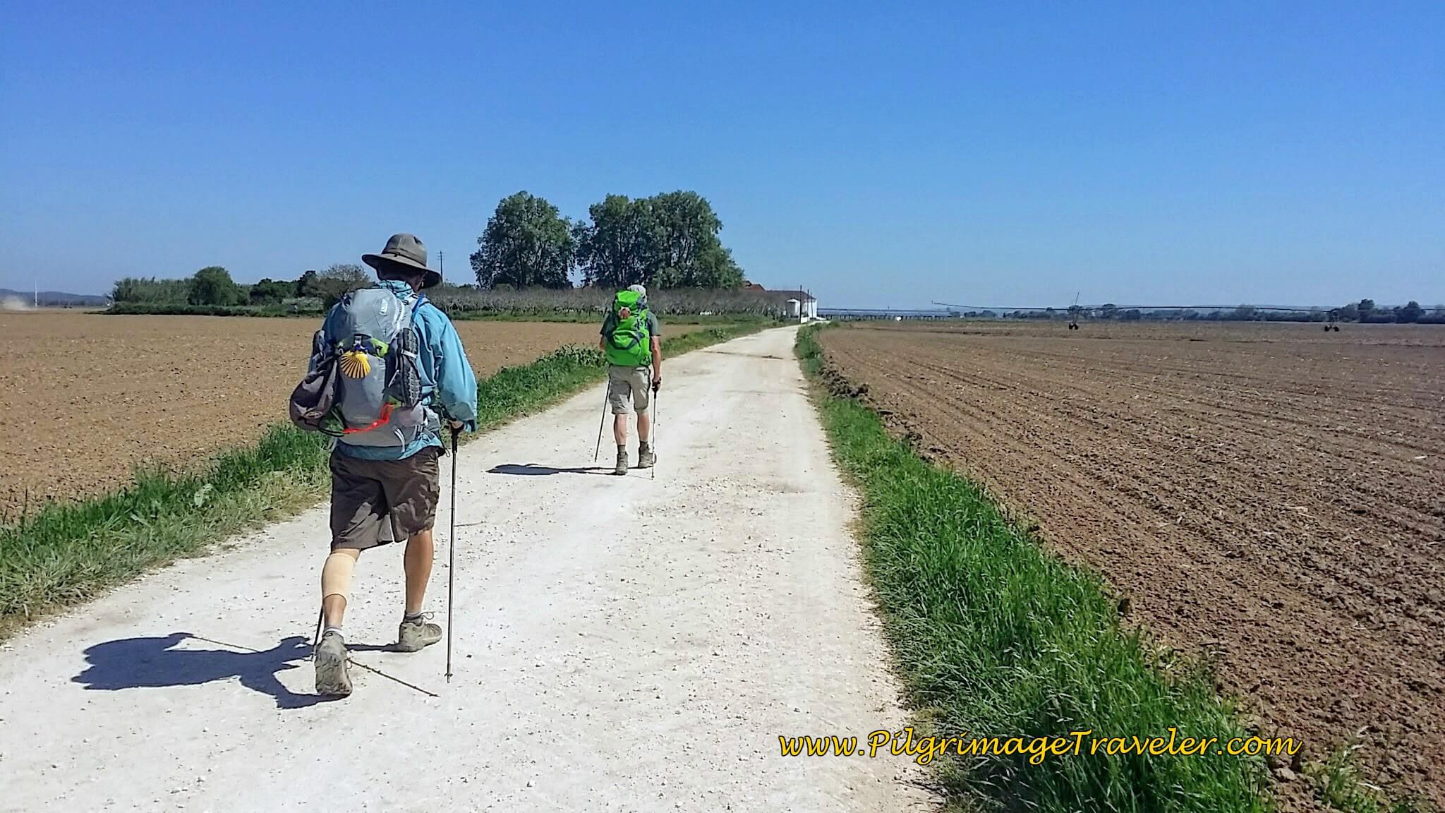 Hot Lanes and Fields