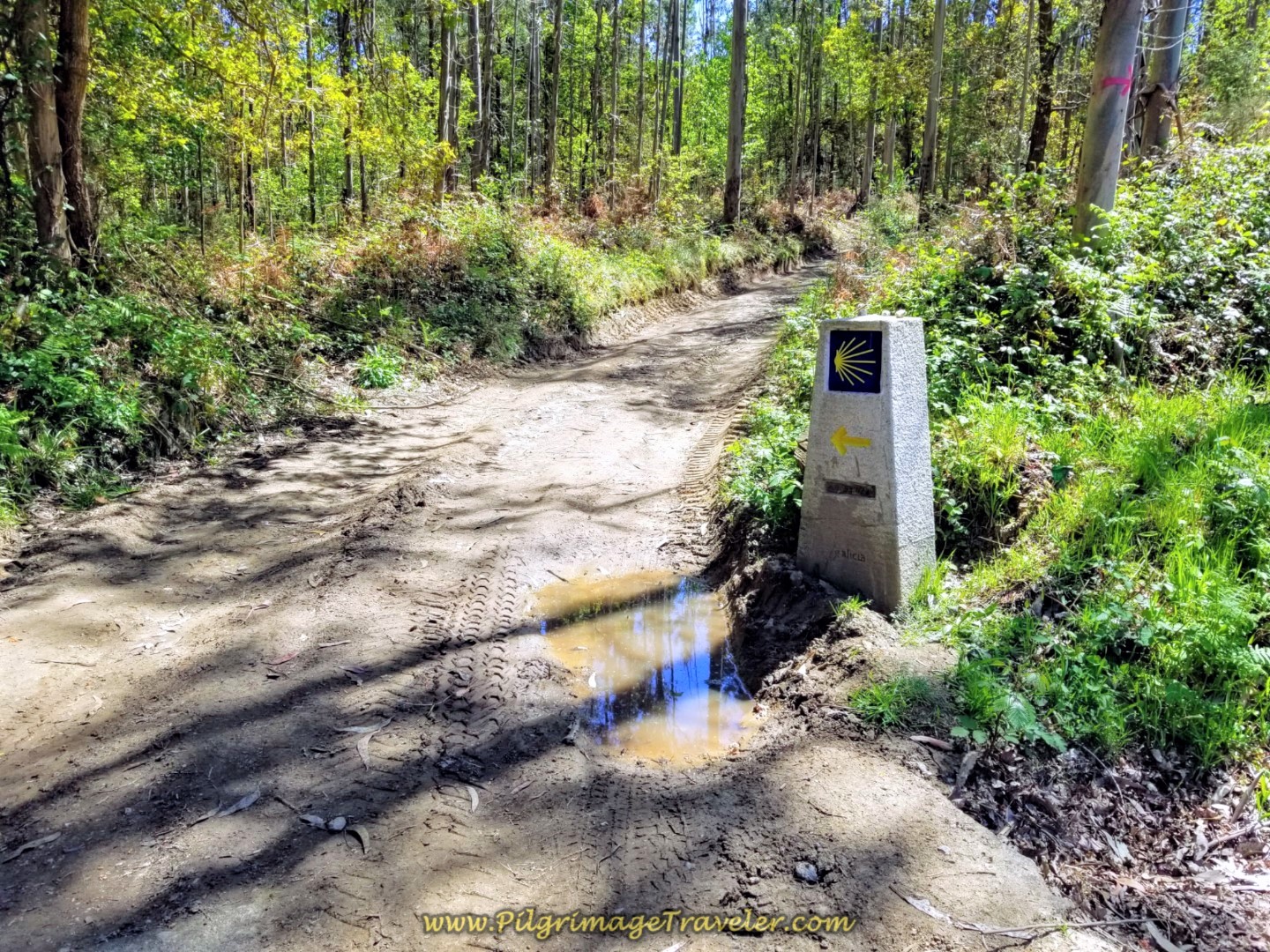Left Turn Off DP-0105 Onto Muddy Lane on day five of the English Way