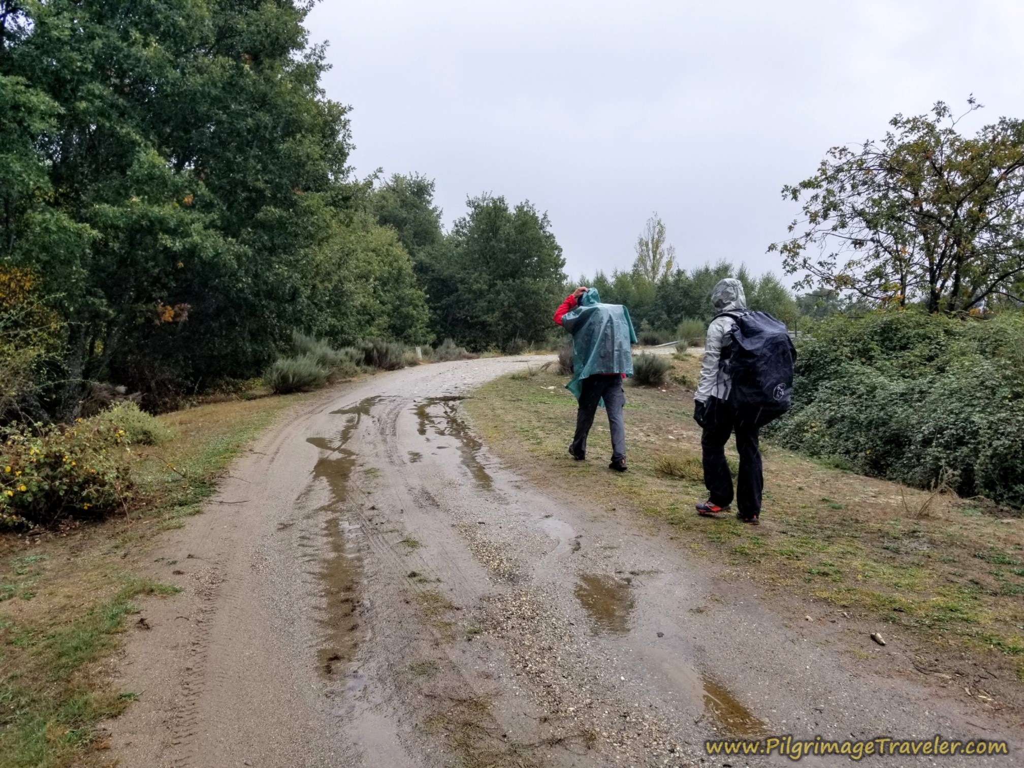 Left Turn Onto Soggy Road