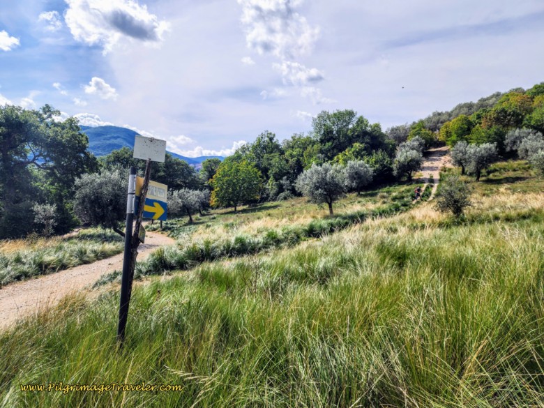 Way of St. Francis: Day Twenty, Poggio San Lorenzo to Ponticelli - Turn to the Right Onto the Tractor Lane