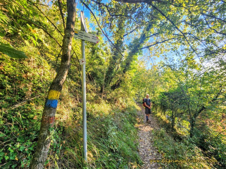 Way of St. Francis: Day Sixteen, Macenano to Piediluco - Sharp Right Turn Onto Path Towards Piediluco