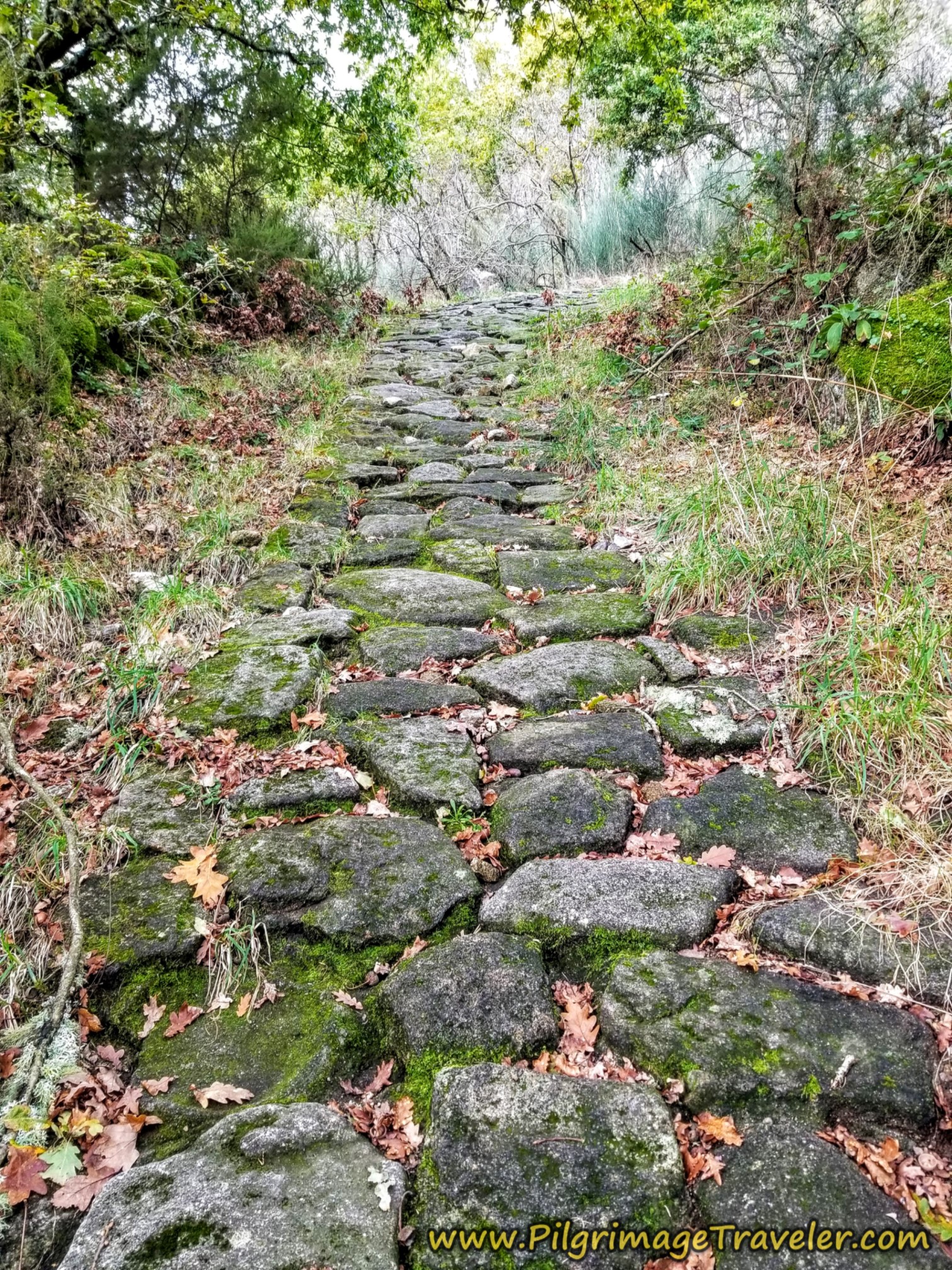 Pavers Even Out a Bit