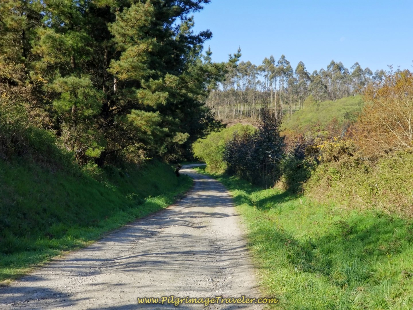 Short Downhill Reprieve on day six of the Camino Inglés