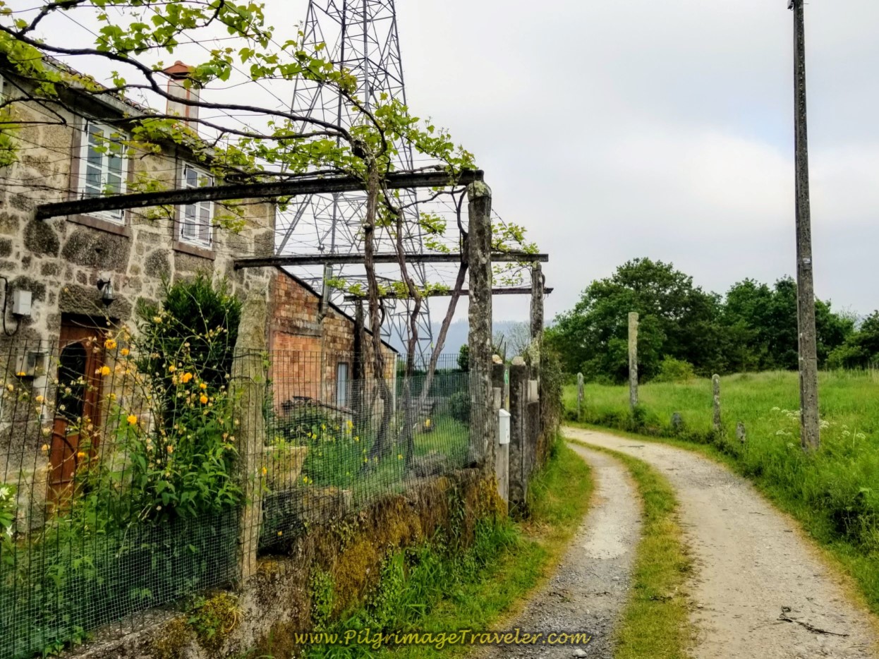 Side Road Becomes Lane in Ventosa on day one Camino Fisterra
